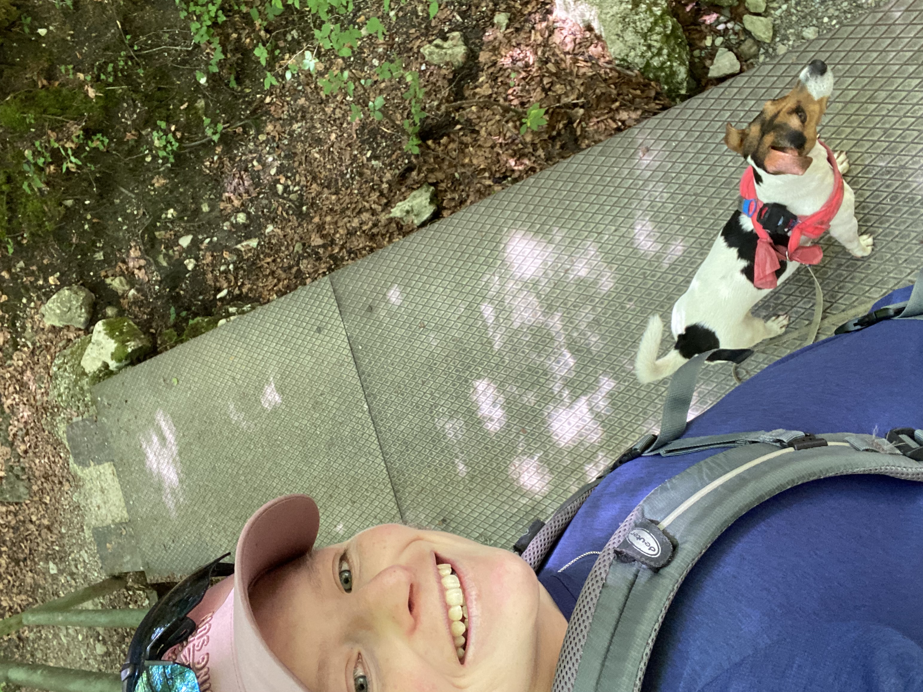 image-7