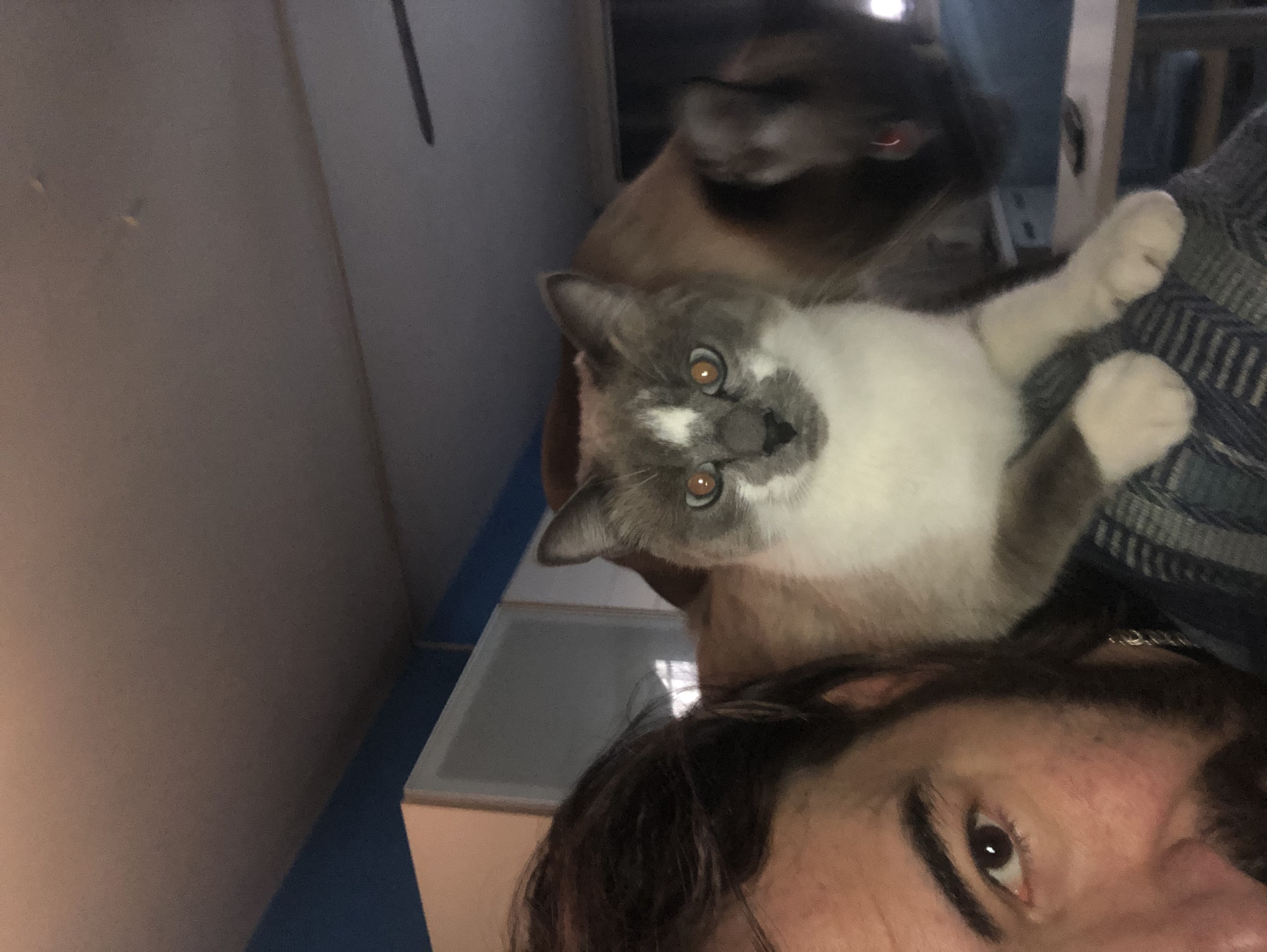 image-8