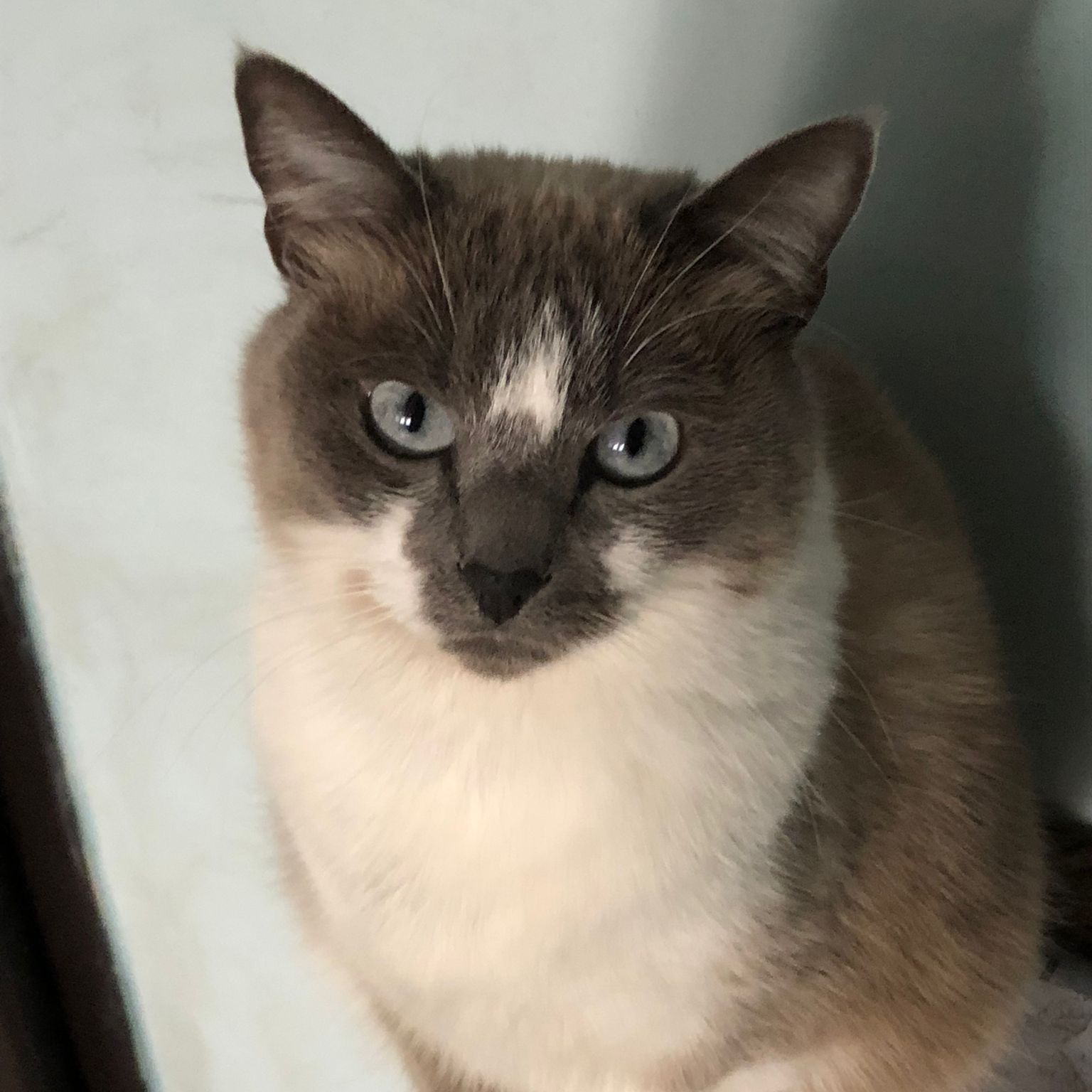 Sally