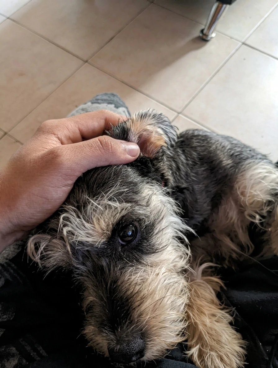 image-9