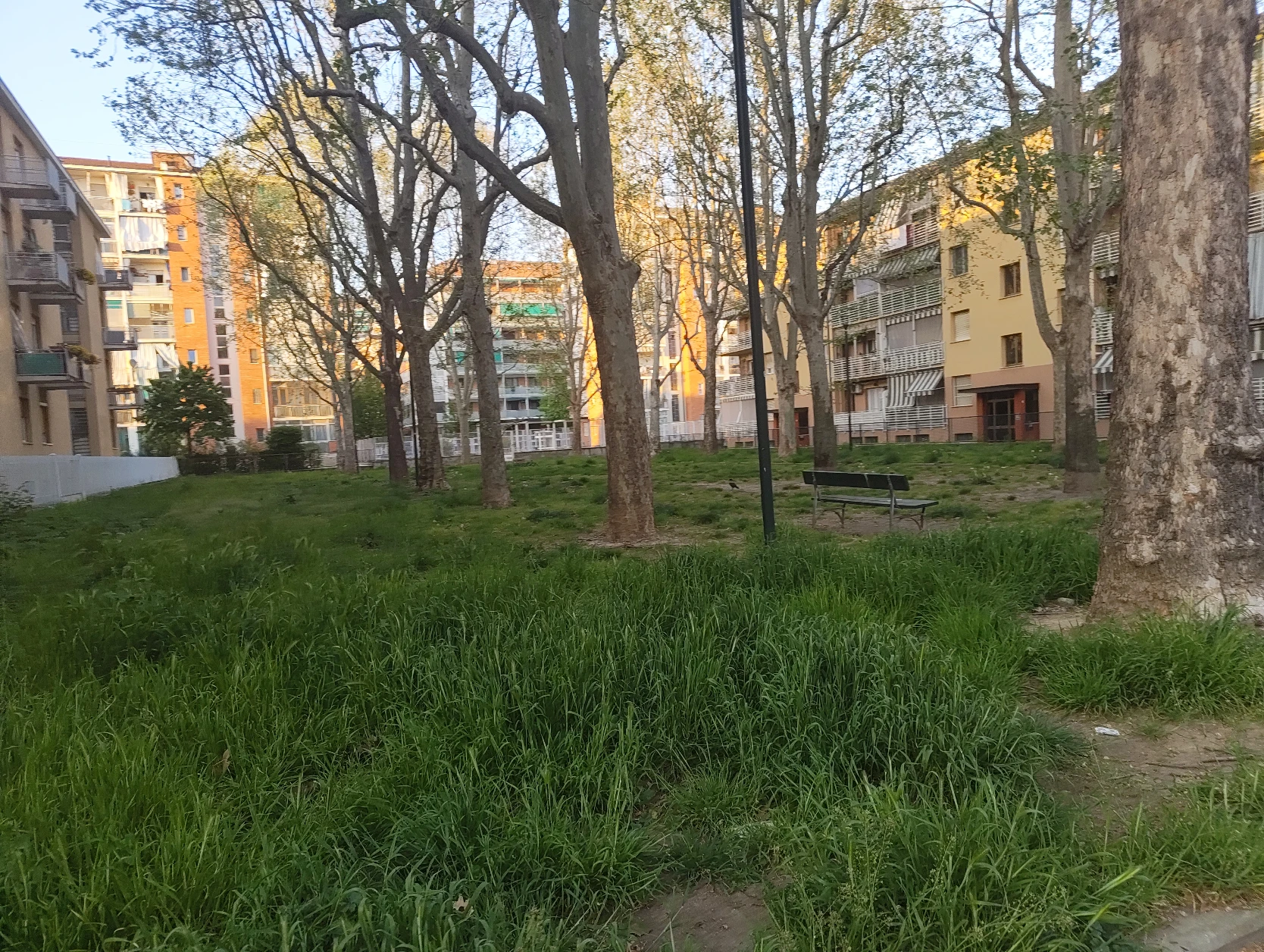 image-14