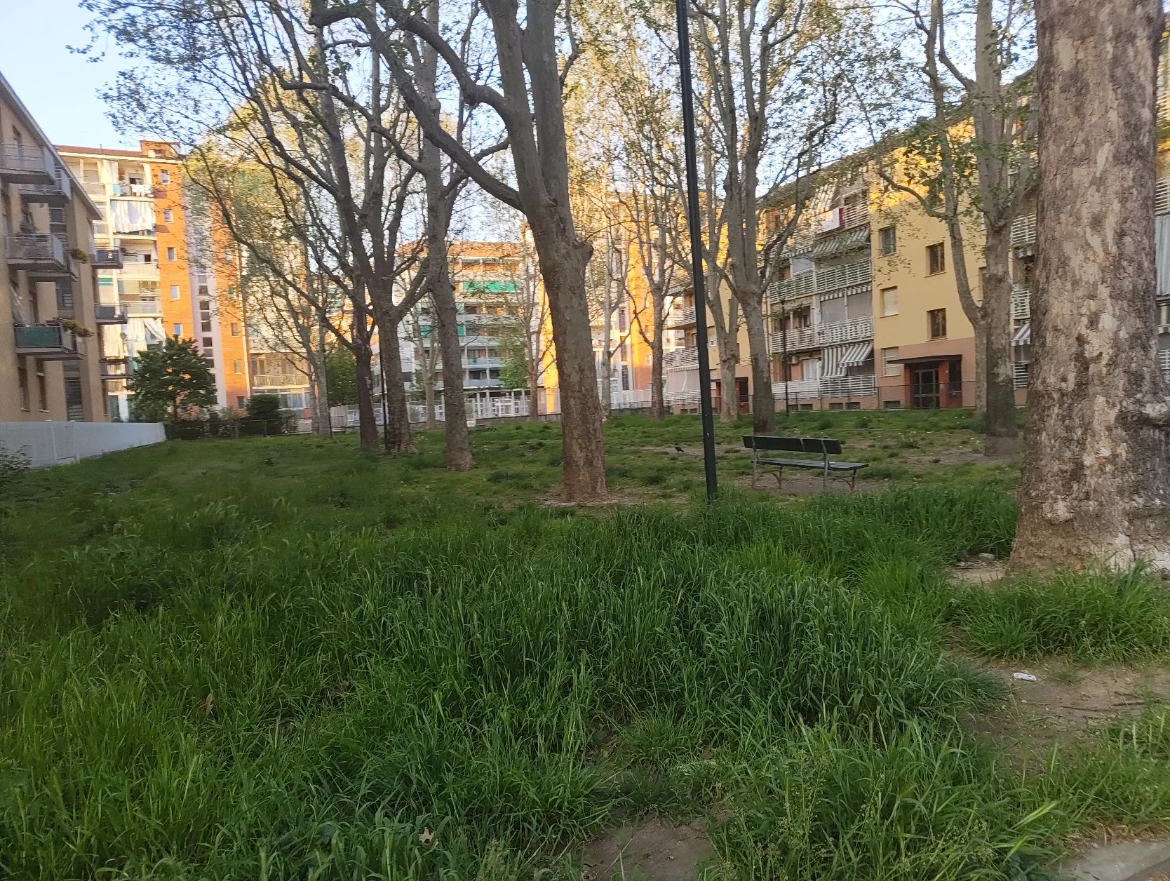 image-14