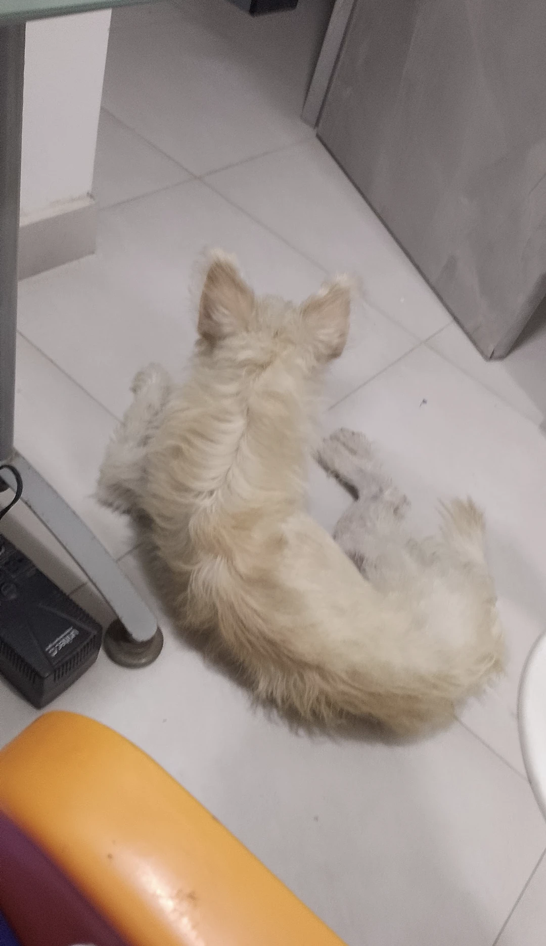 image-16