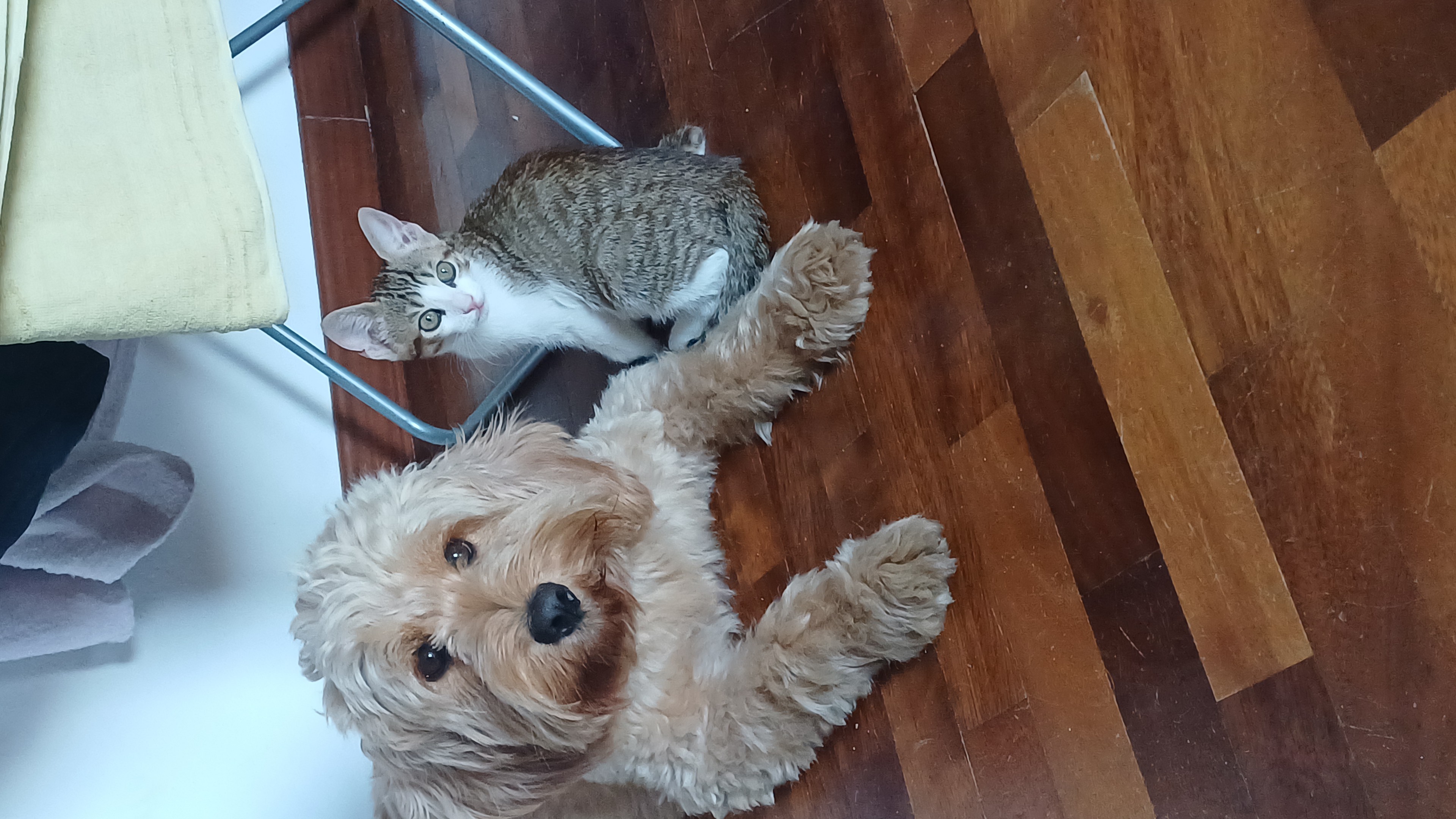 image-8