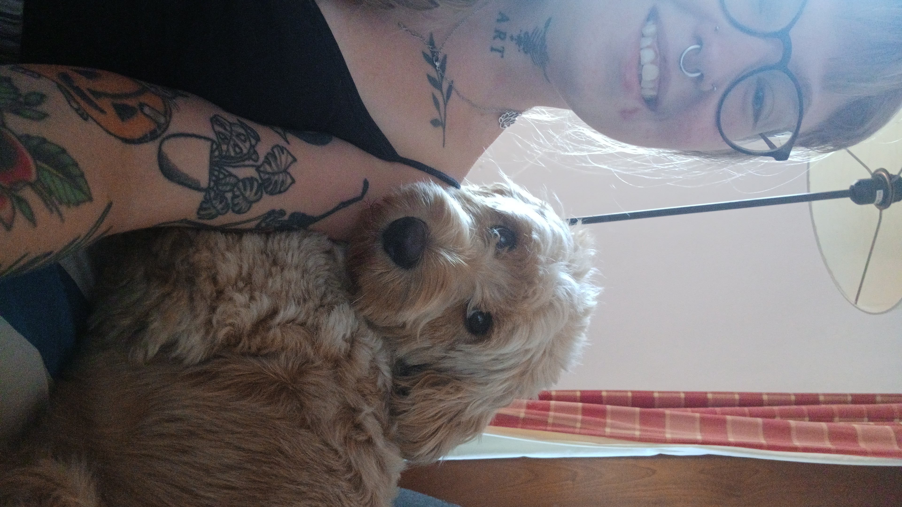 image-7