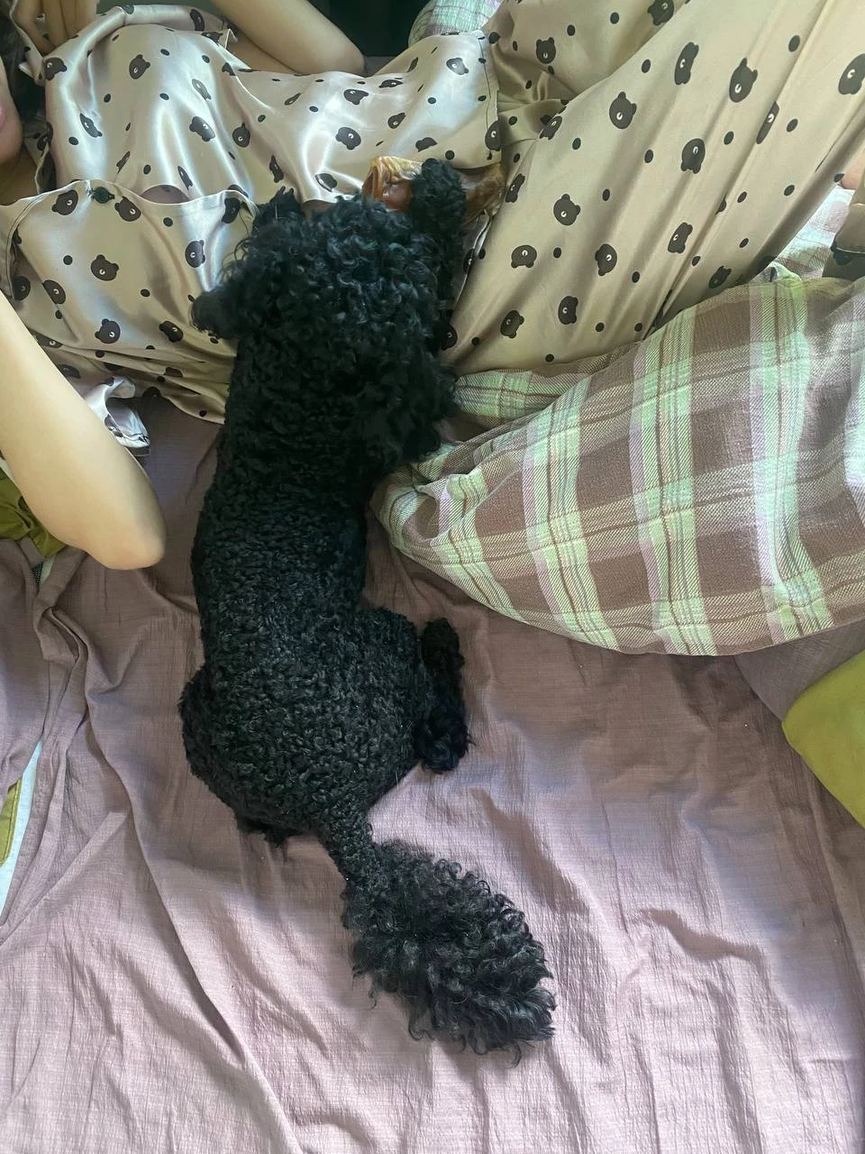 image-12