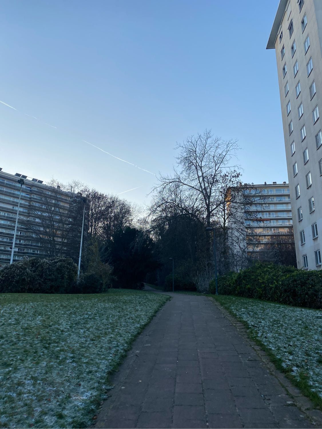 image-10