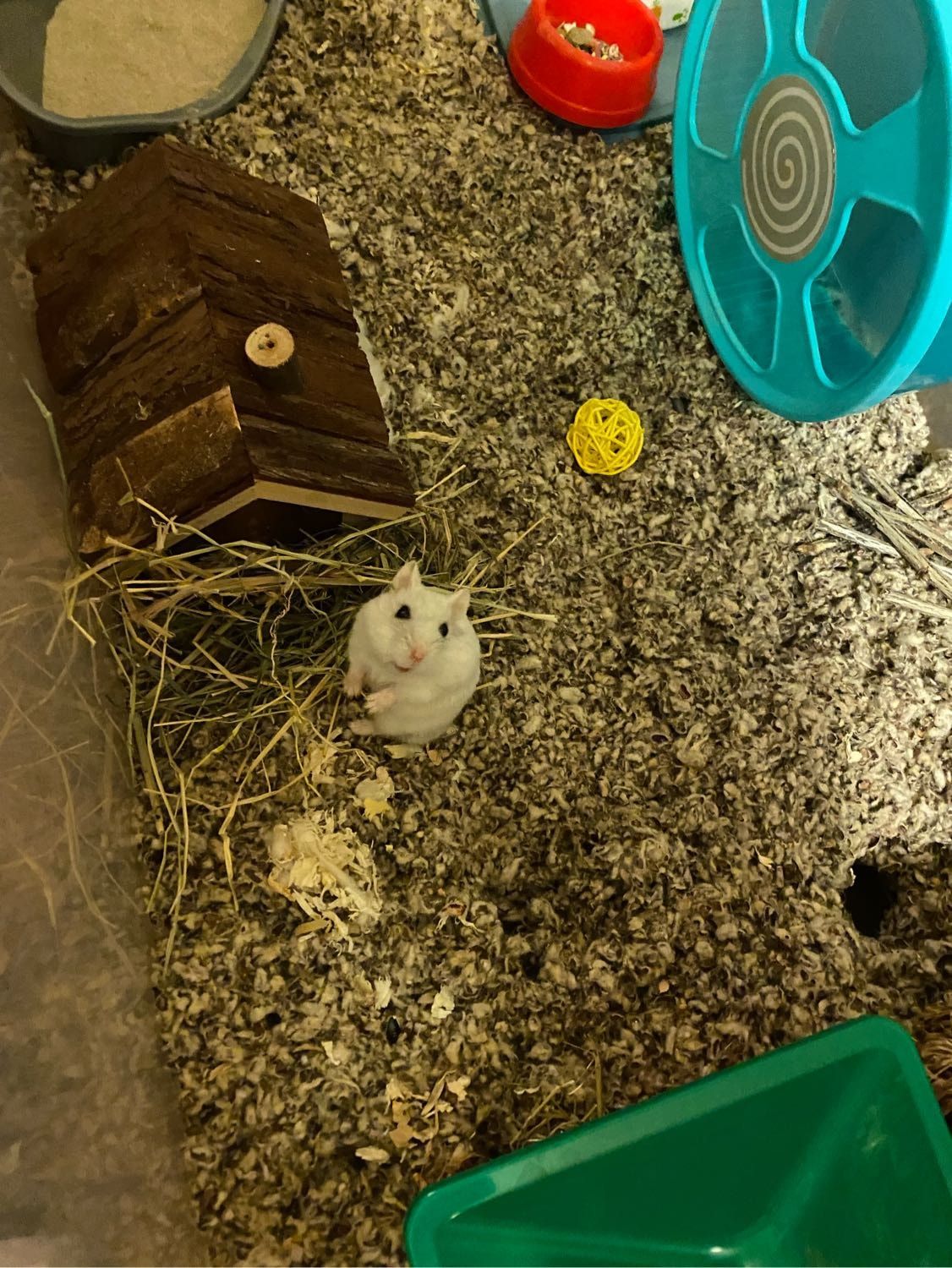 image-6