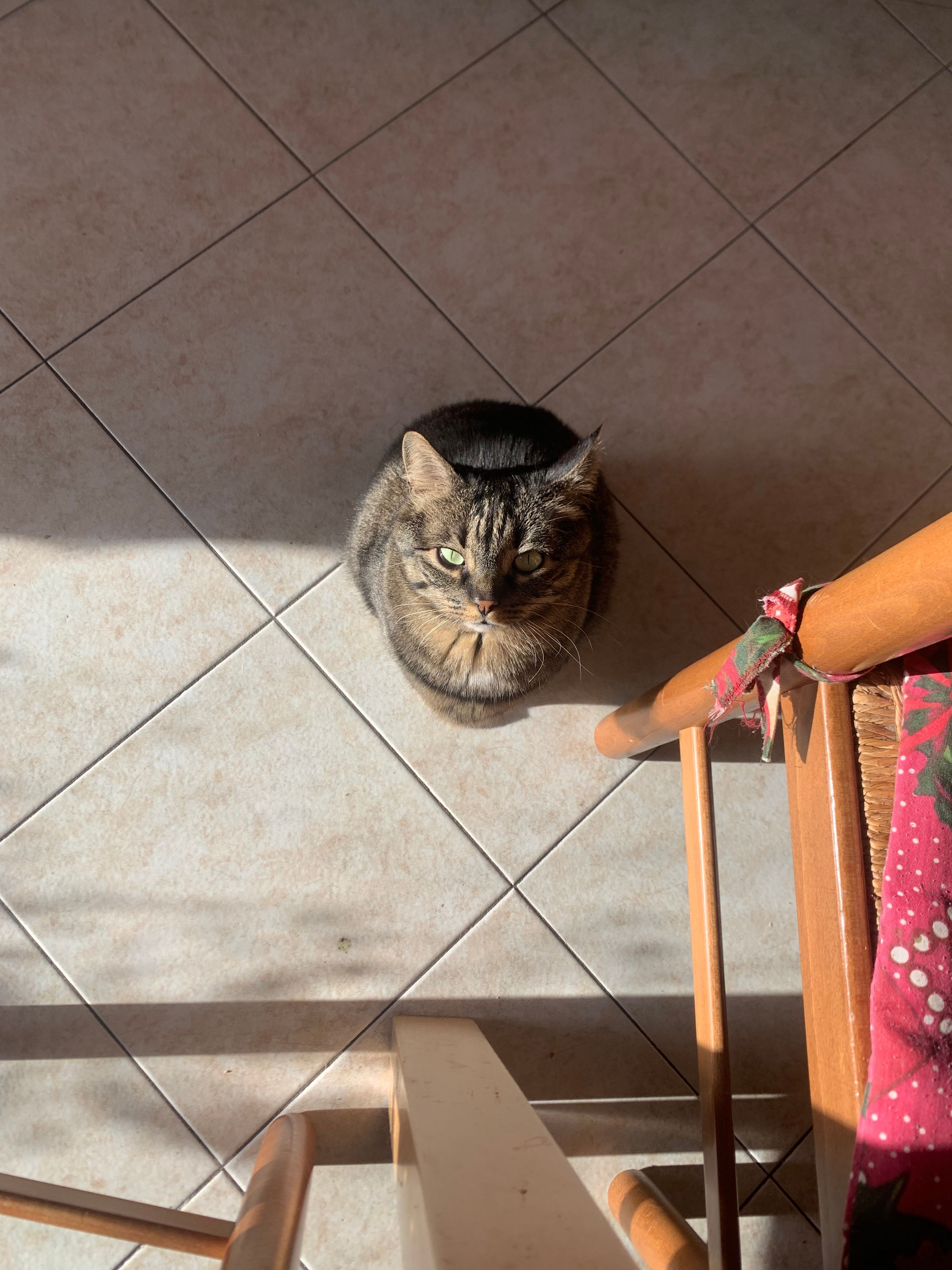 image-15
