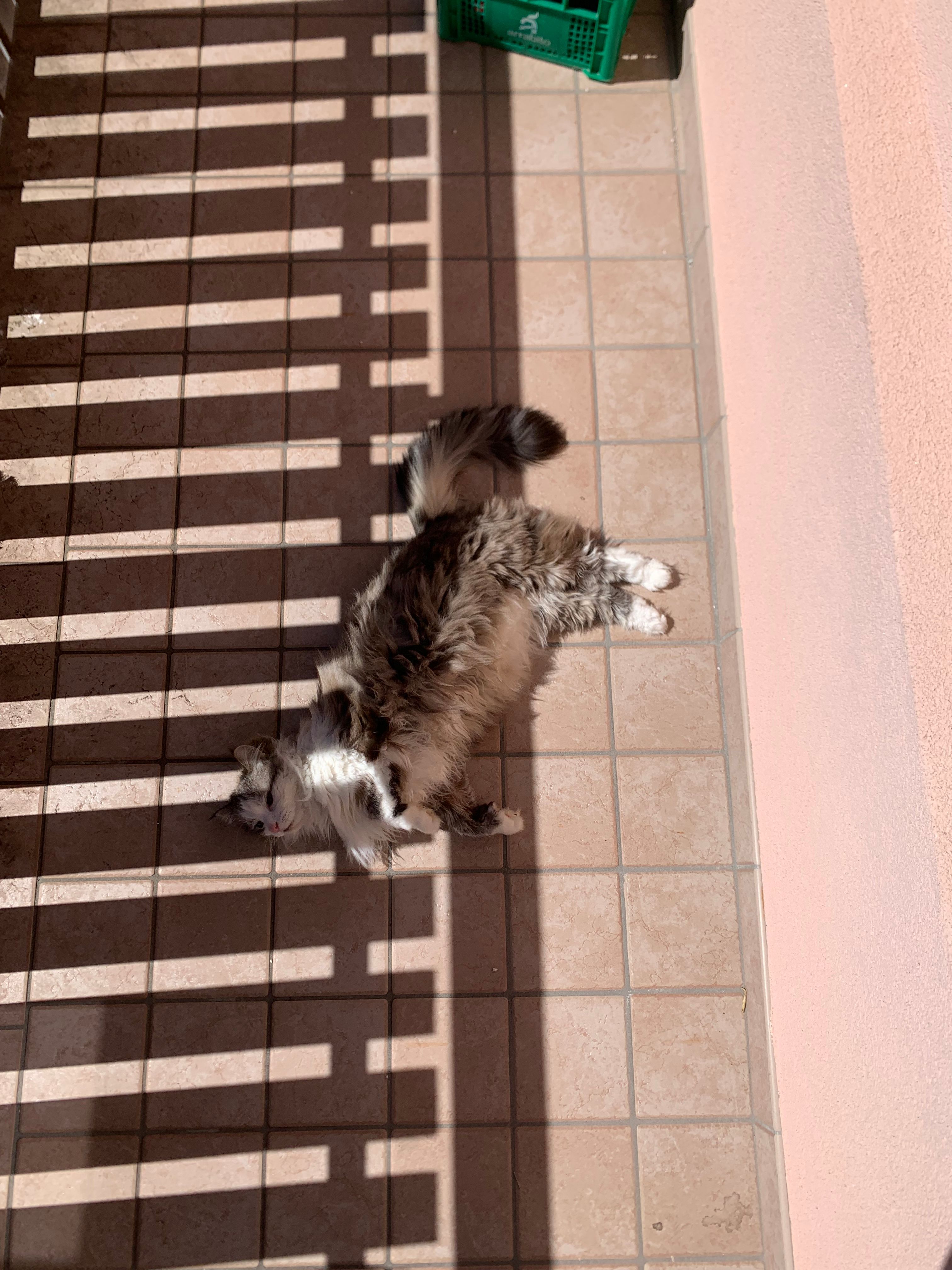 image-11