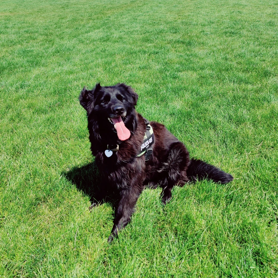 Nina