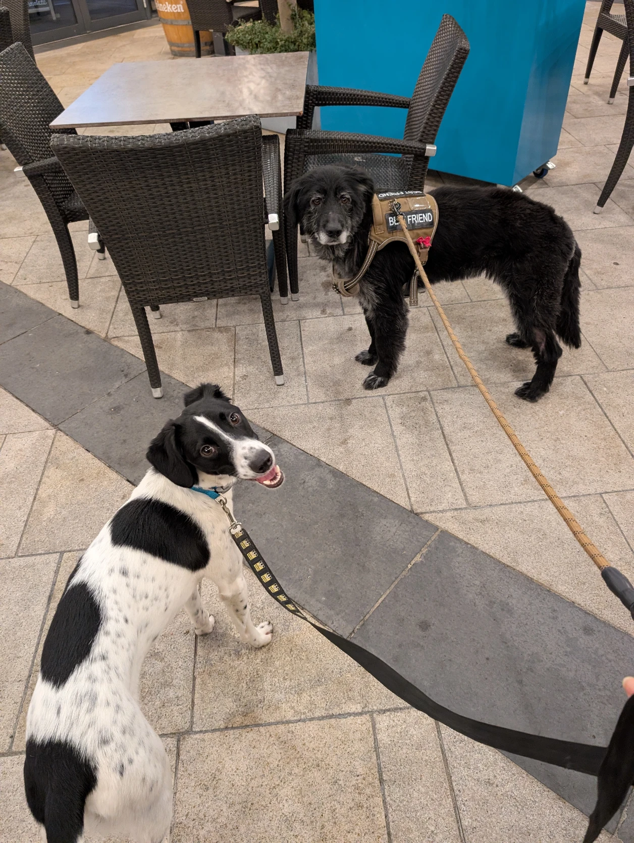 image-14
