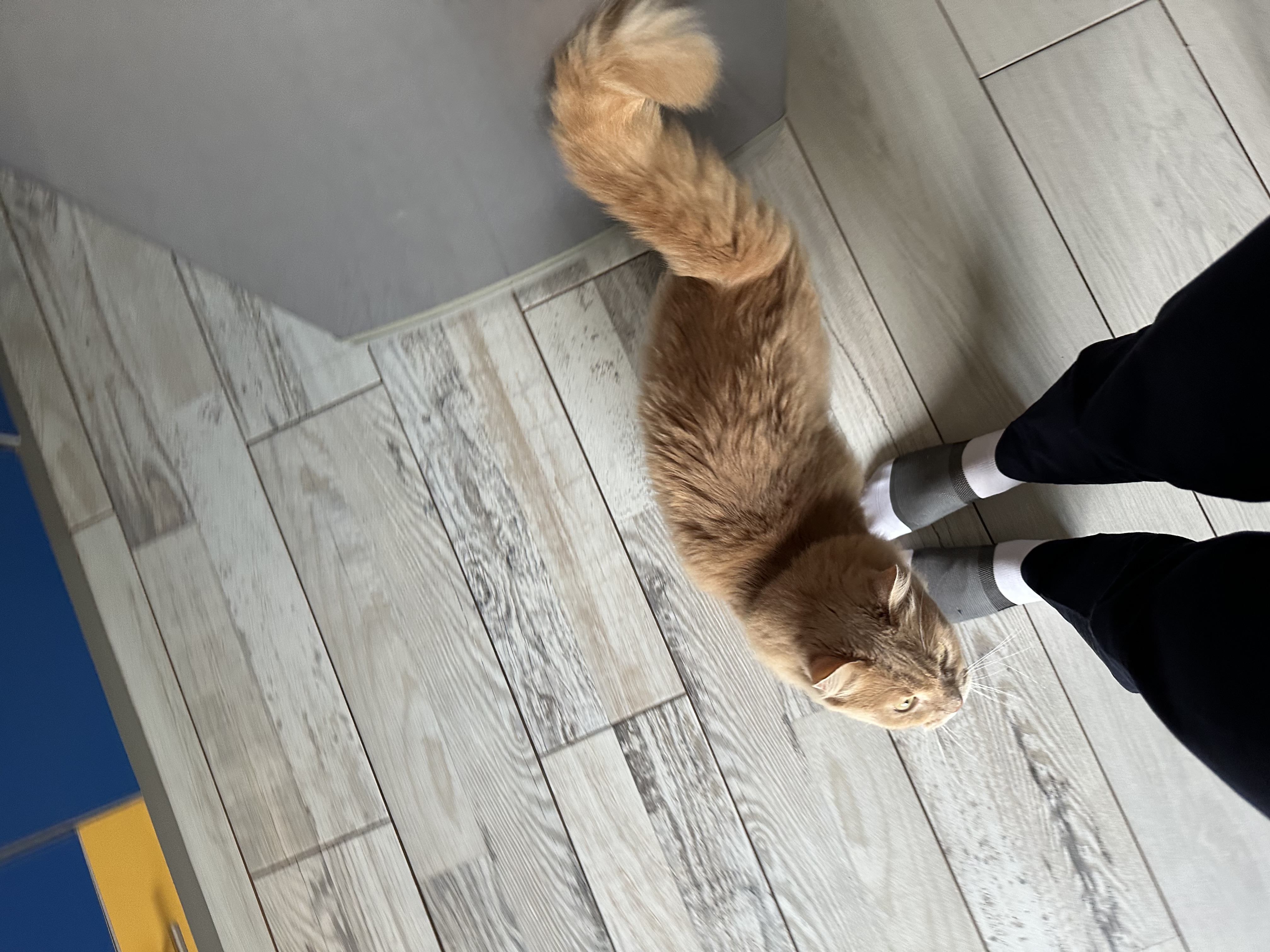 image-10