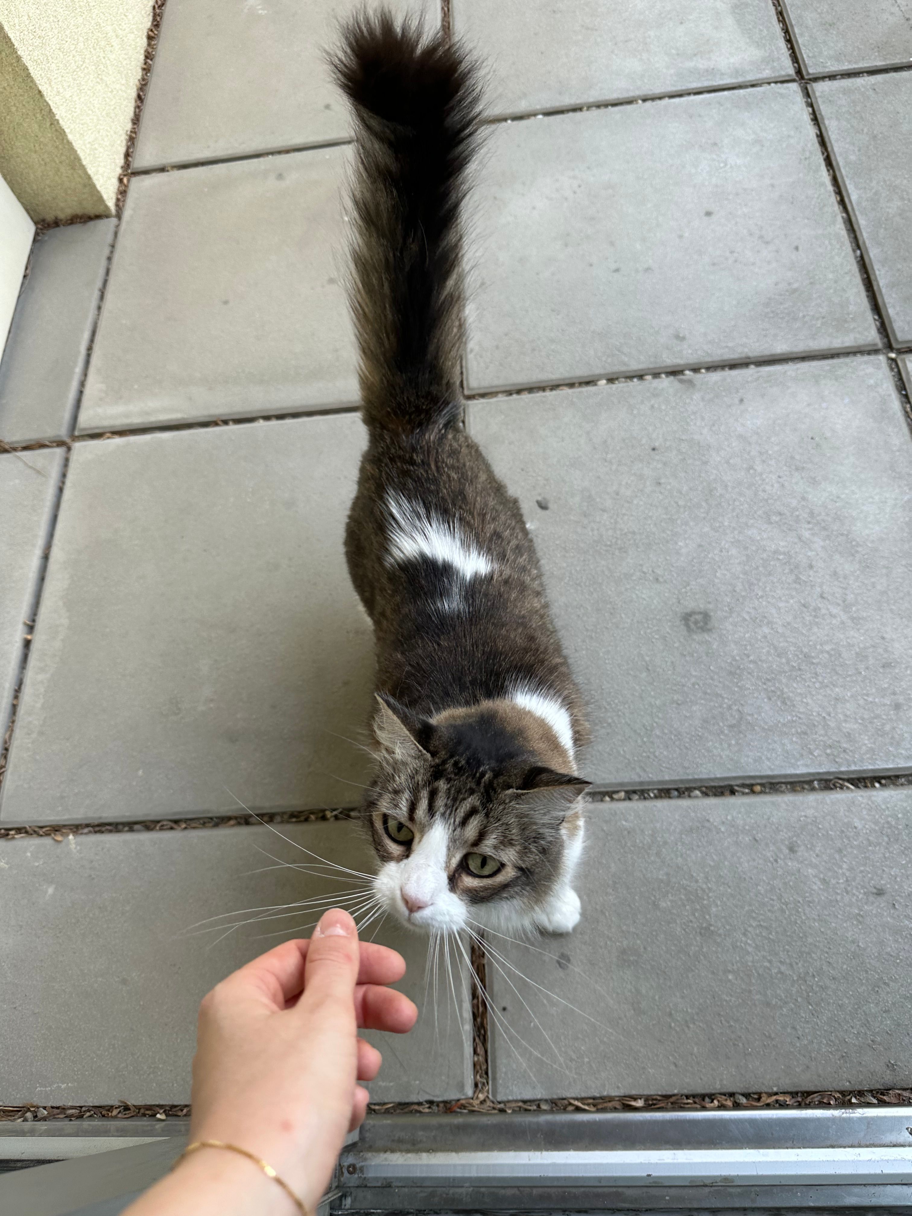 image-11