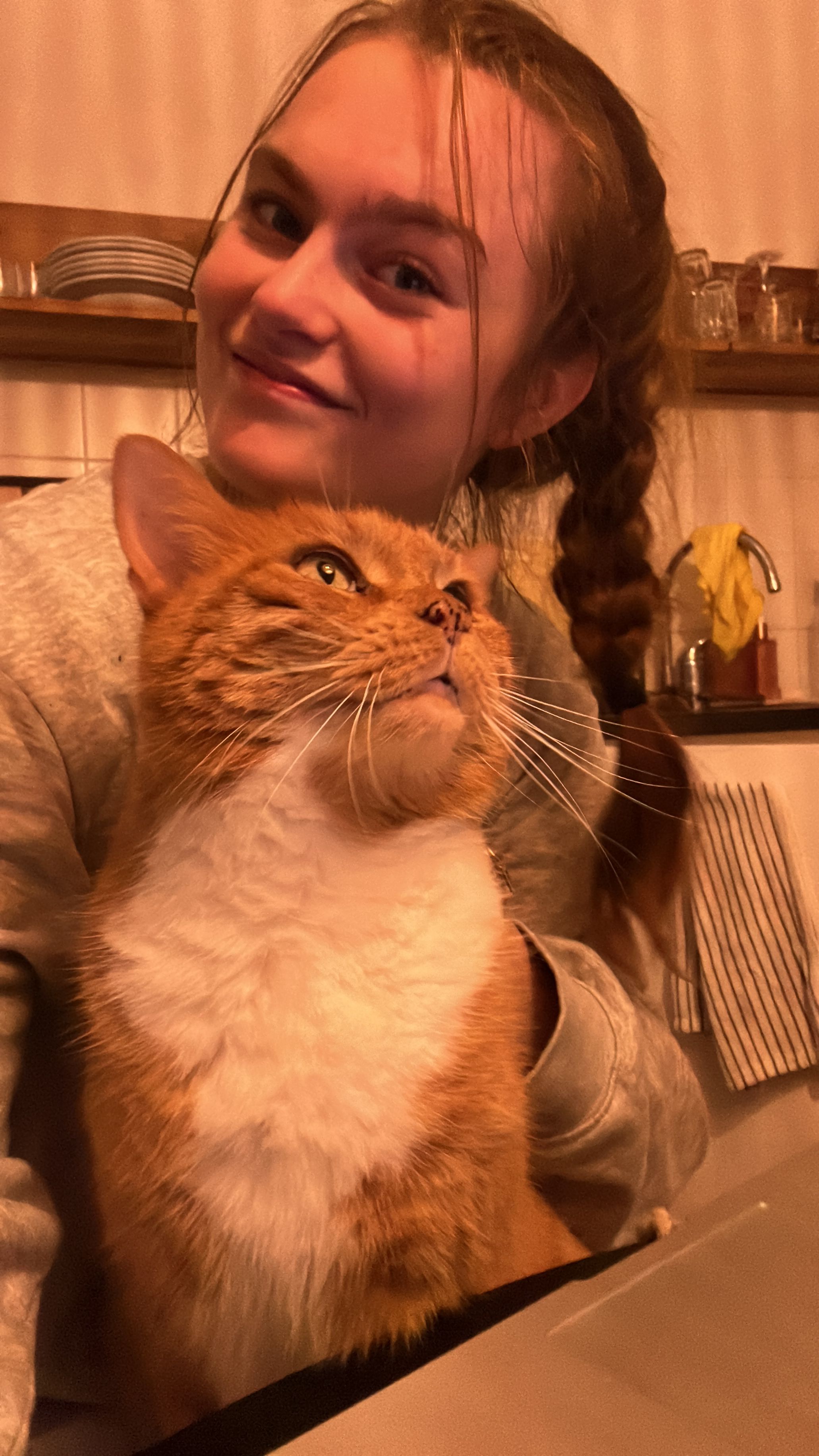 image-7