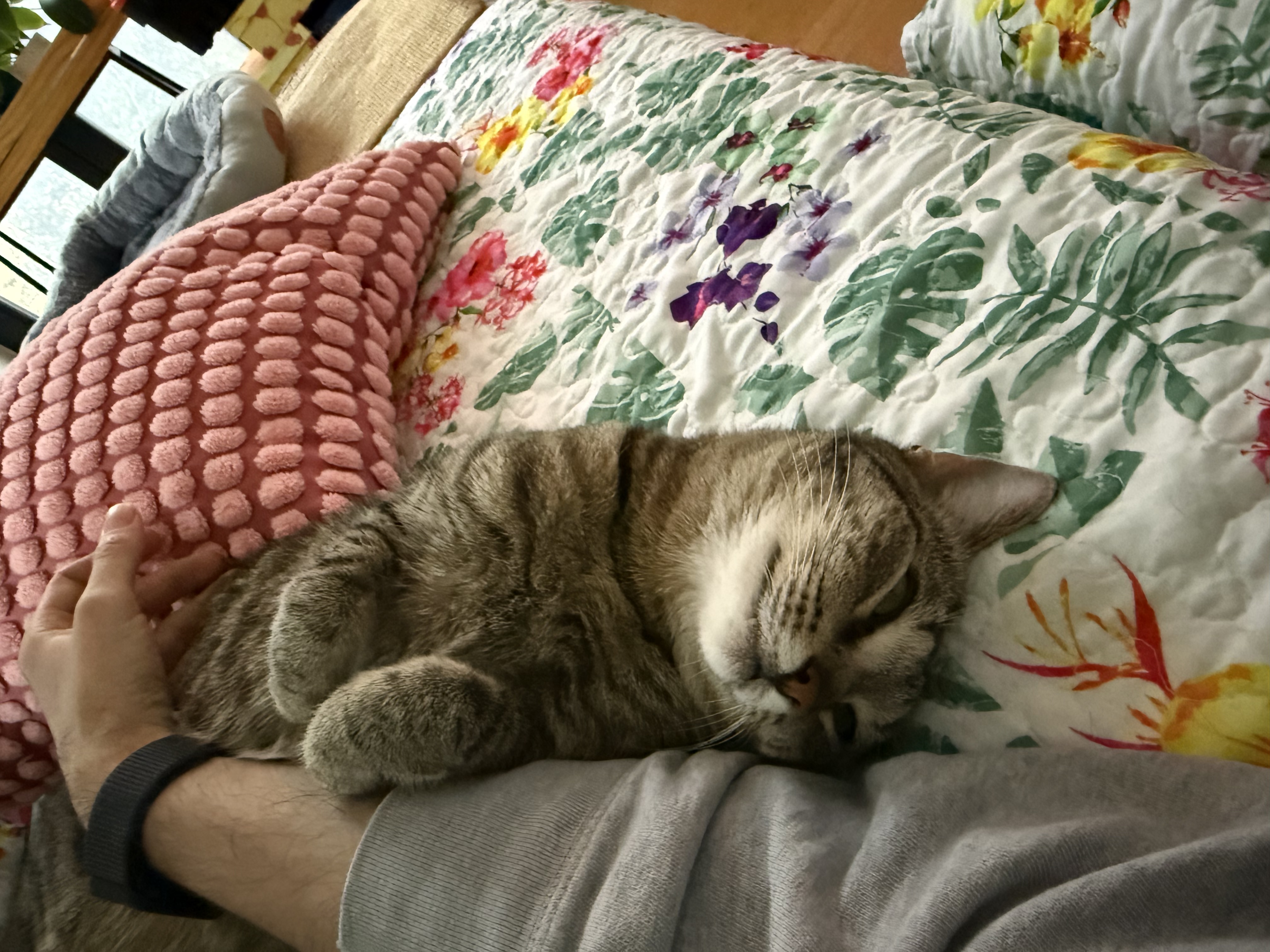image-12