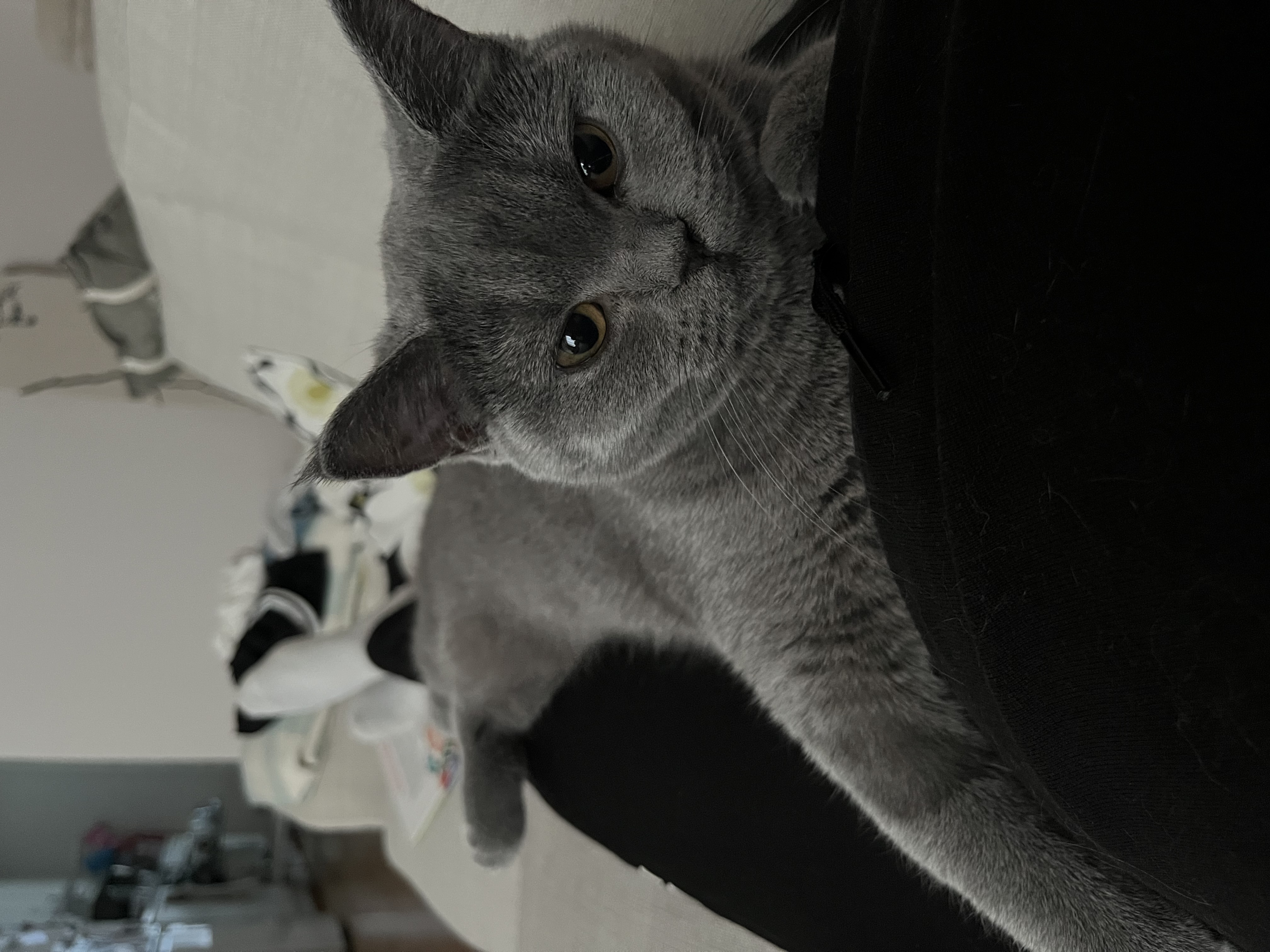 image-10
