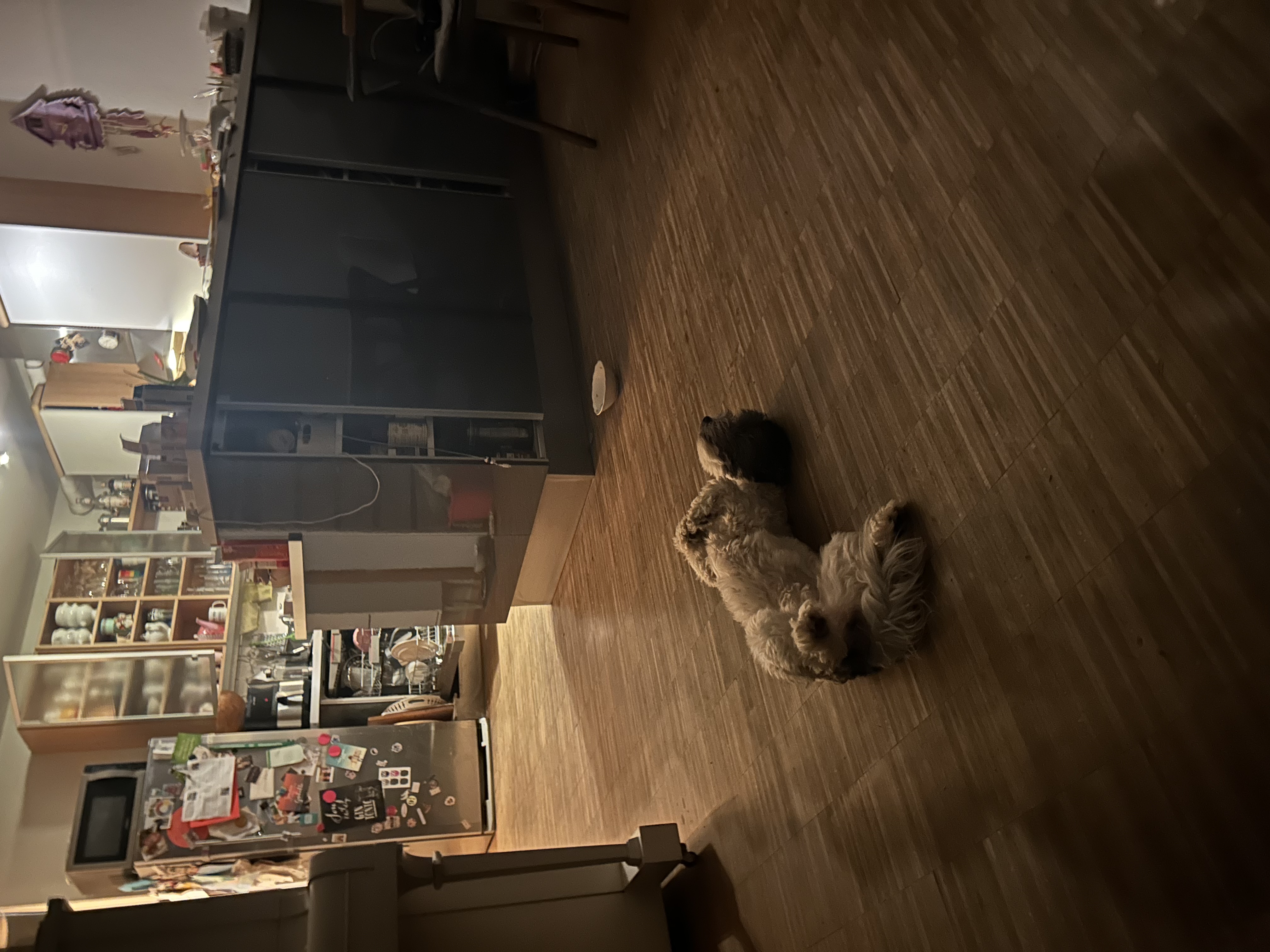 image-19