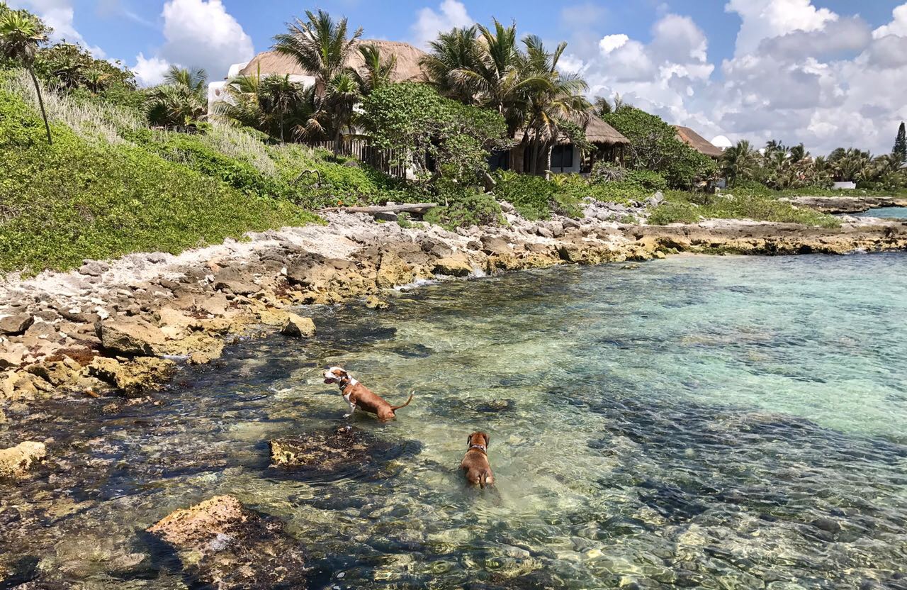 image-14