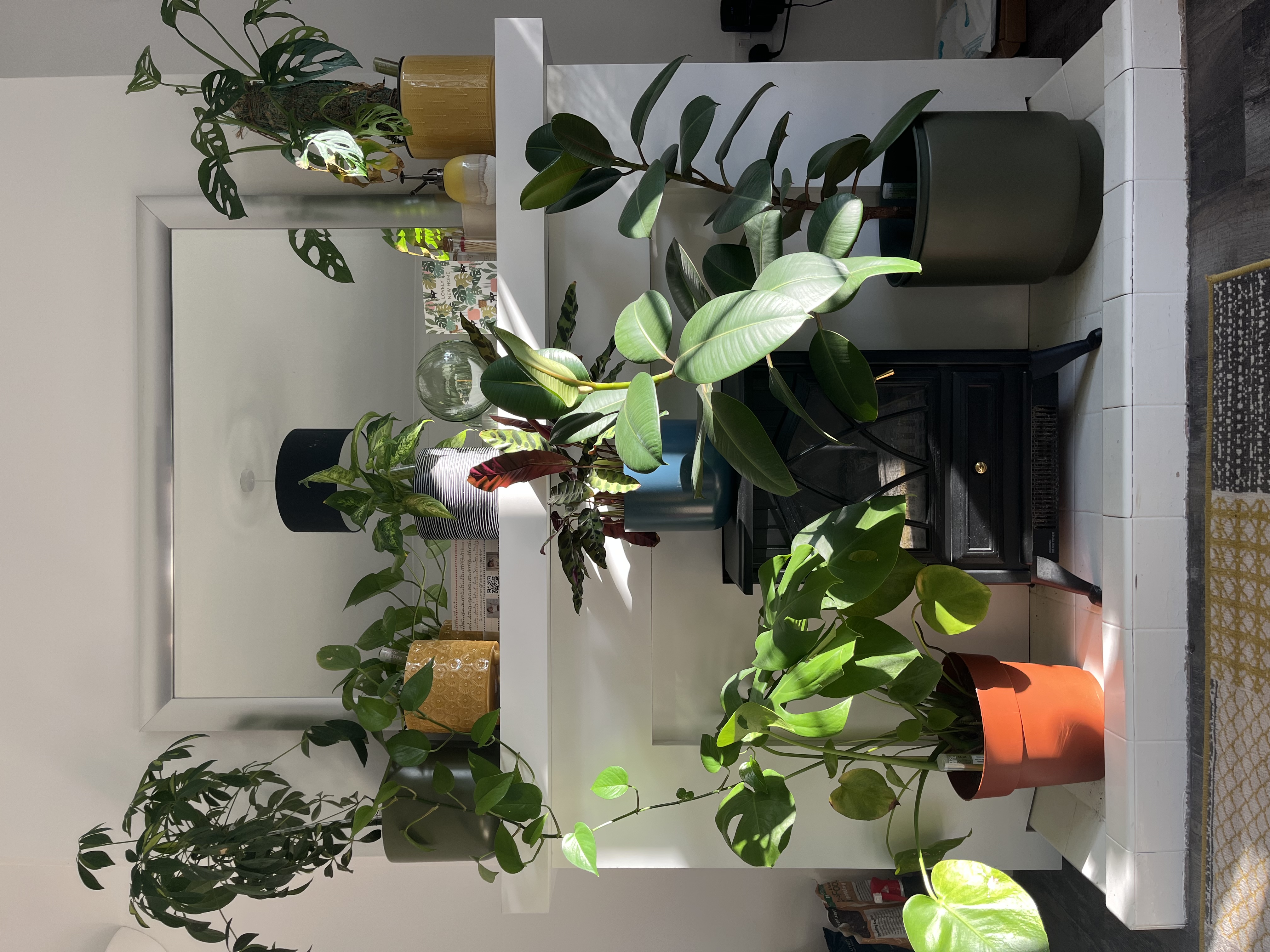 image-16