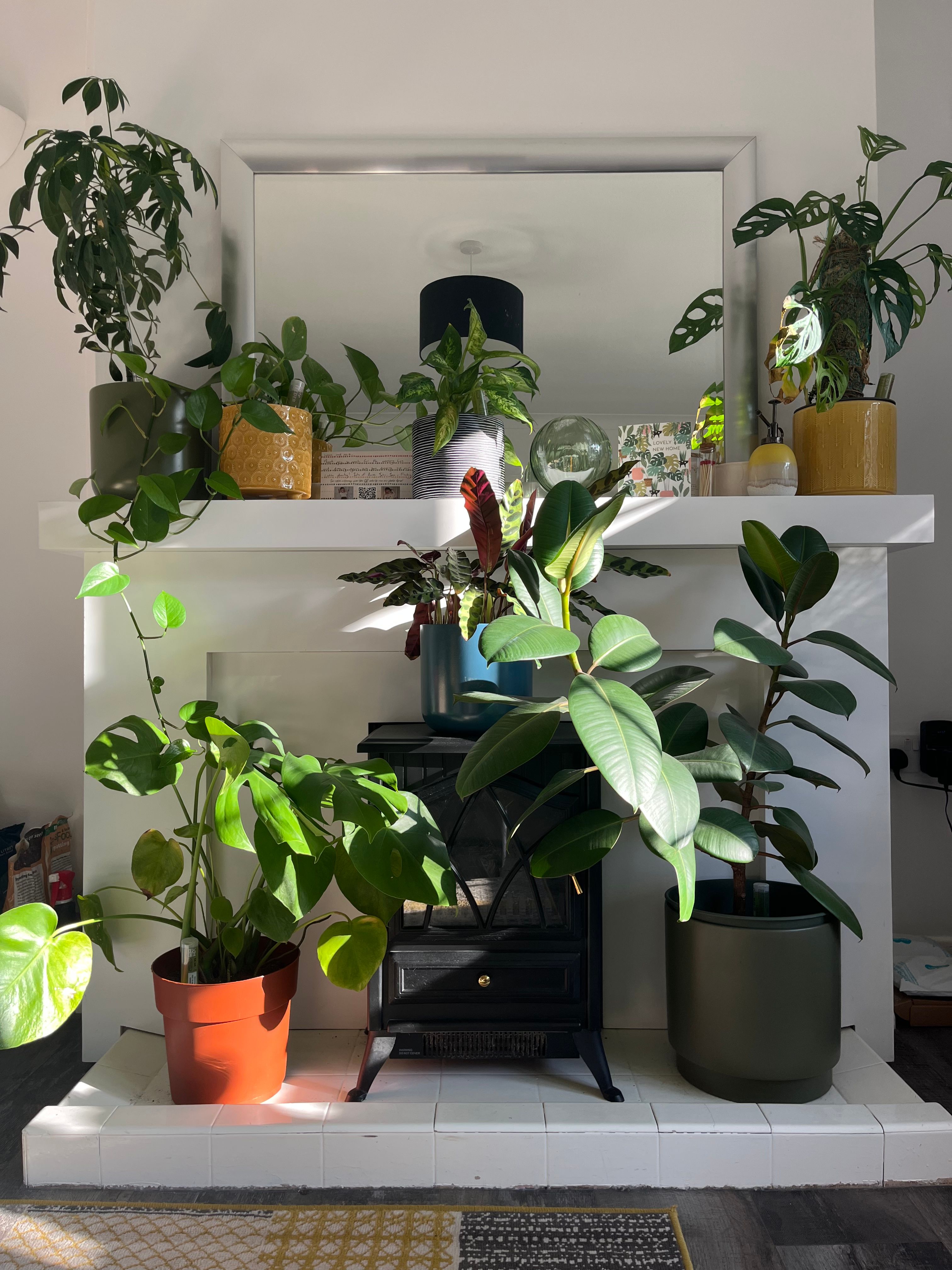 image-16
