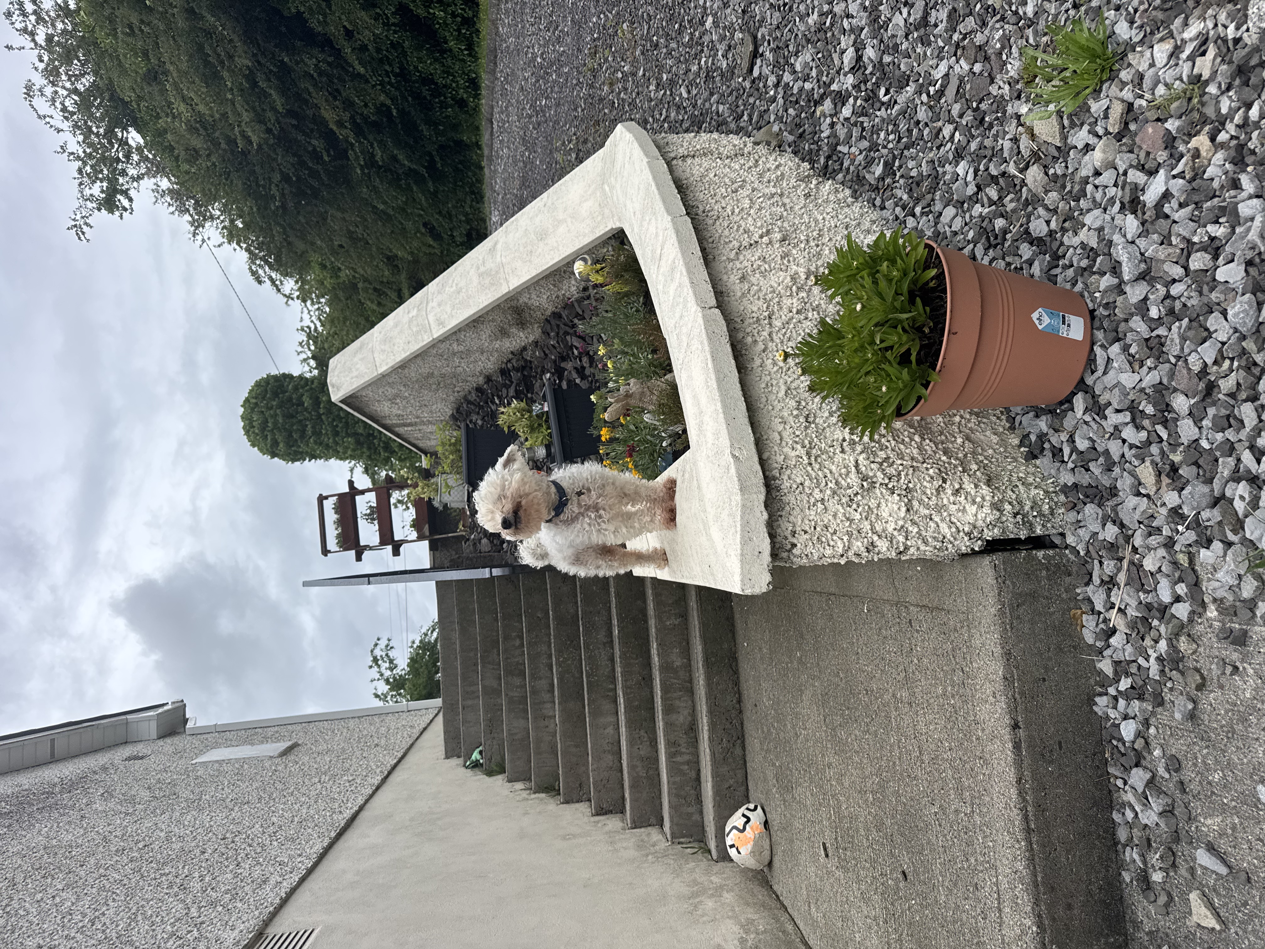 image-8