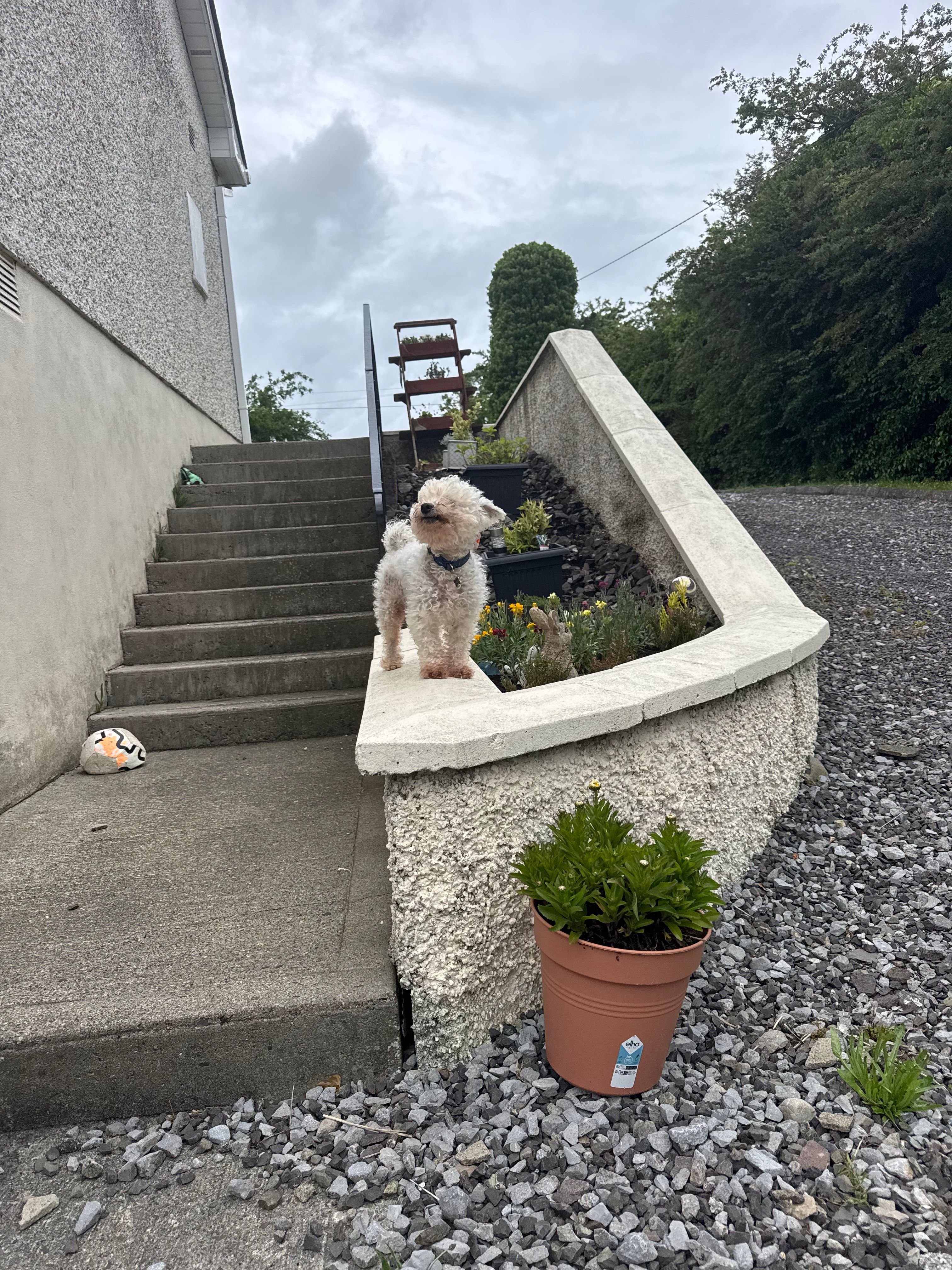 image-8