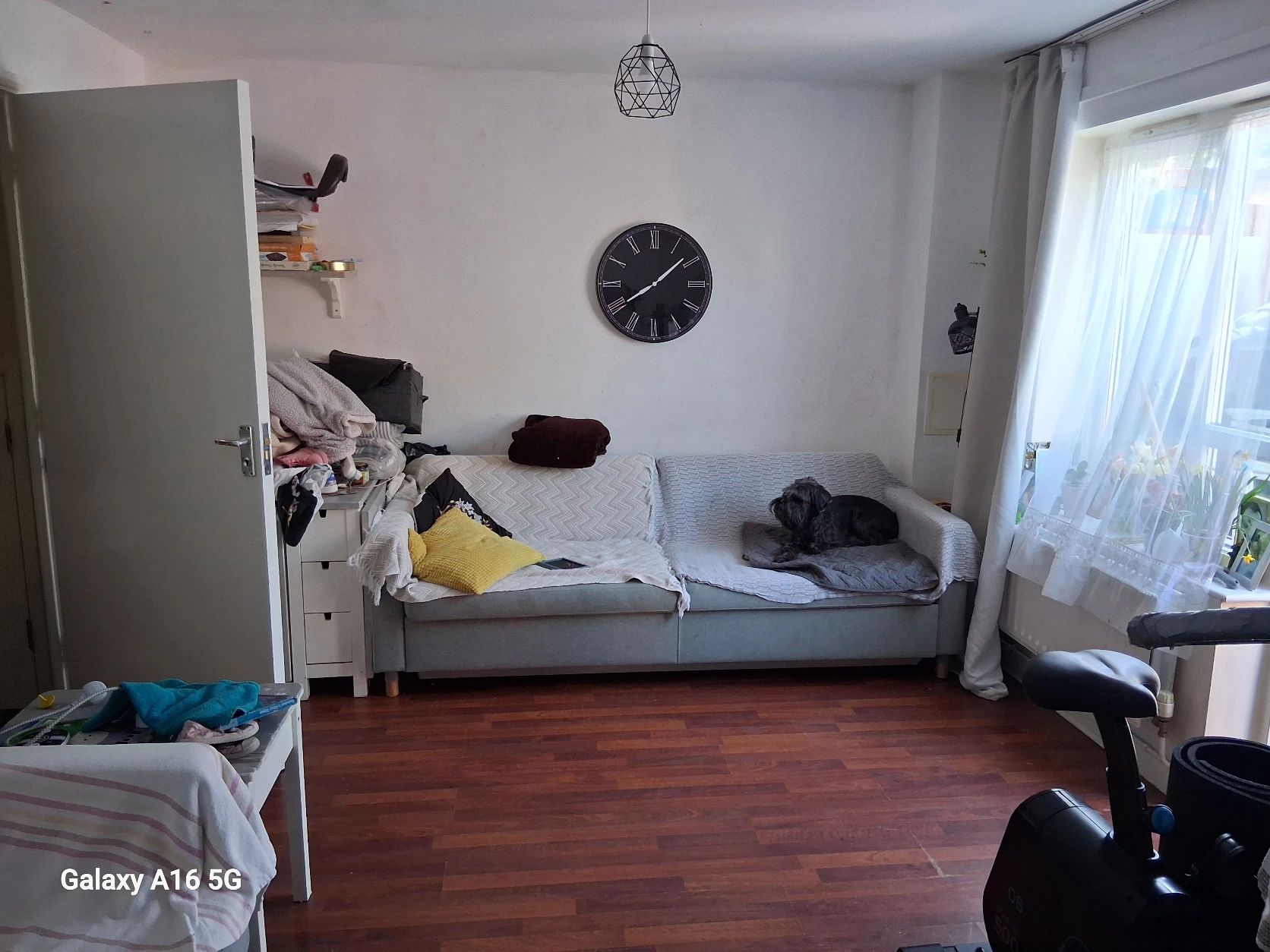 image-20