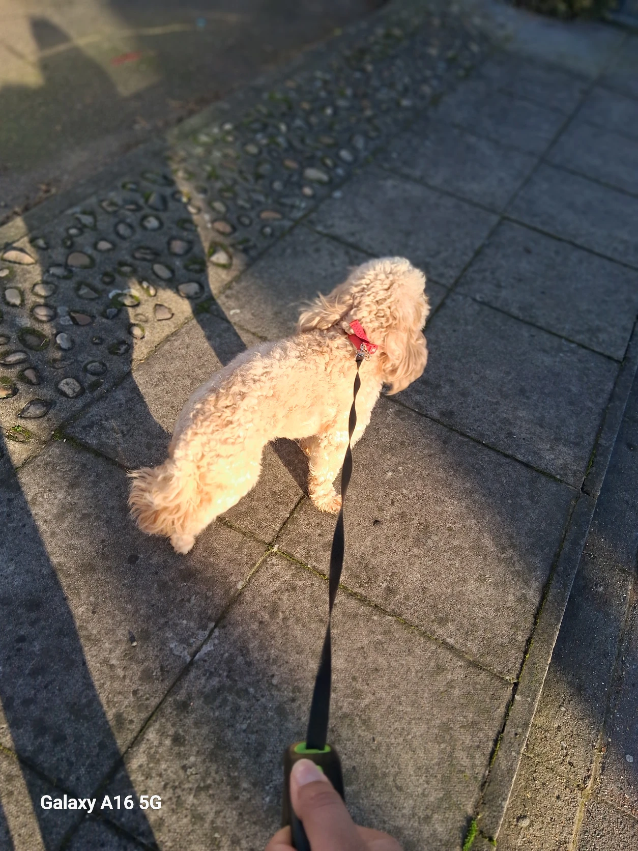 image-5
