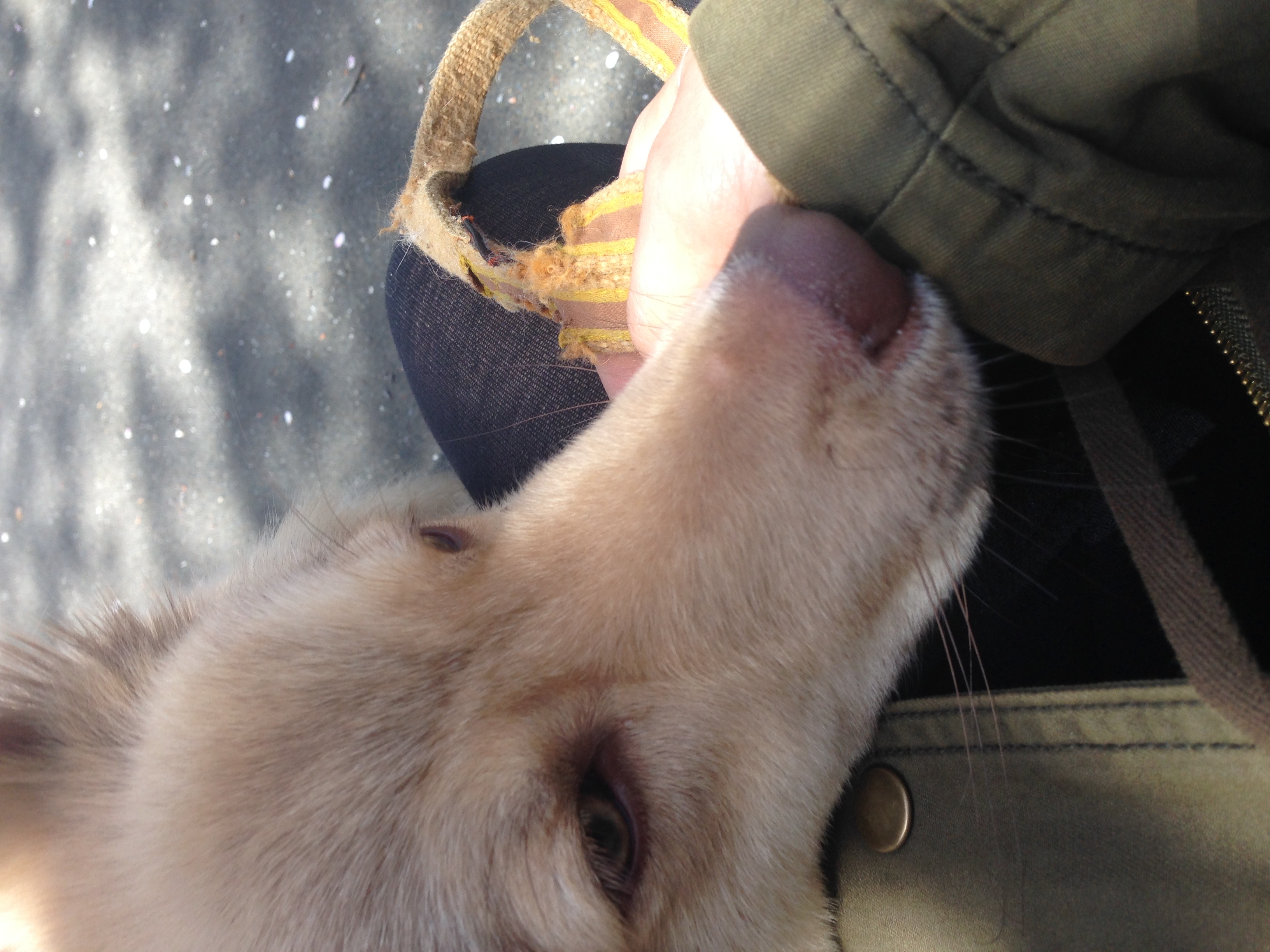 image-10