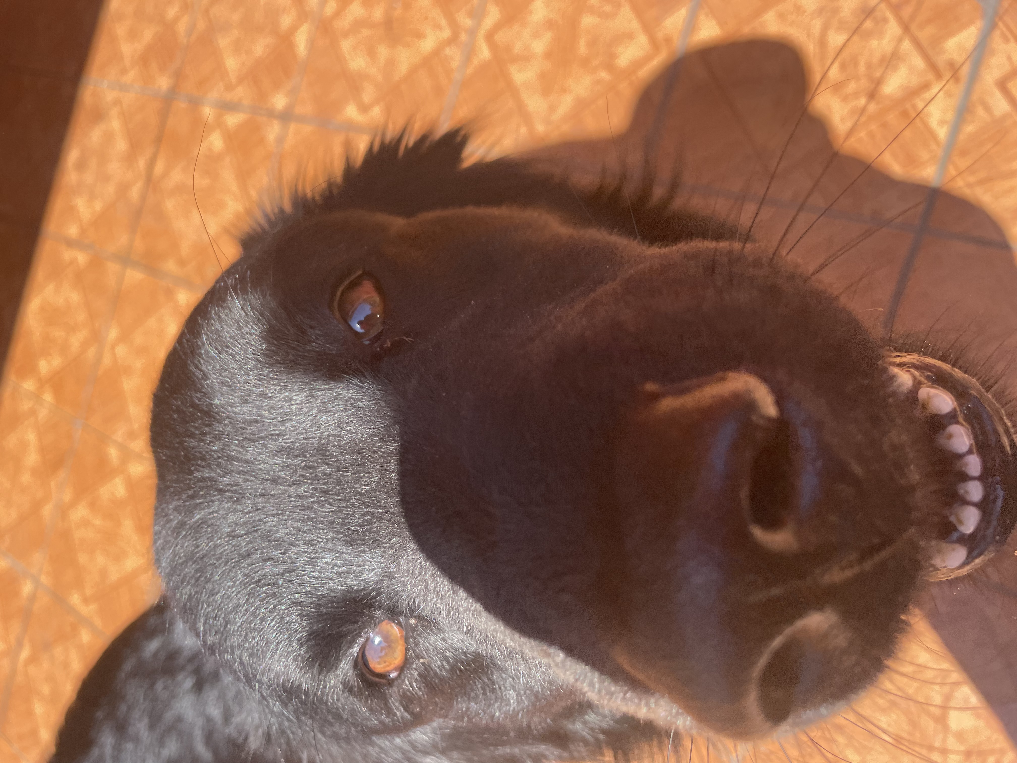 image-6