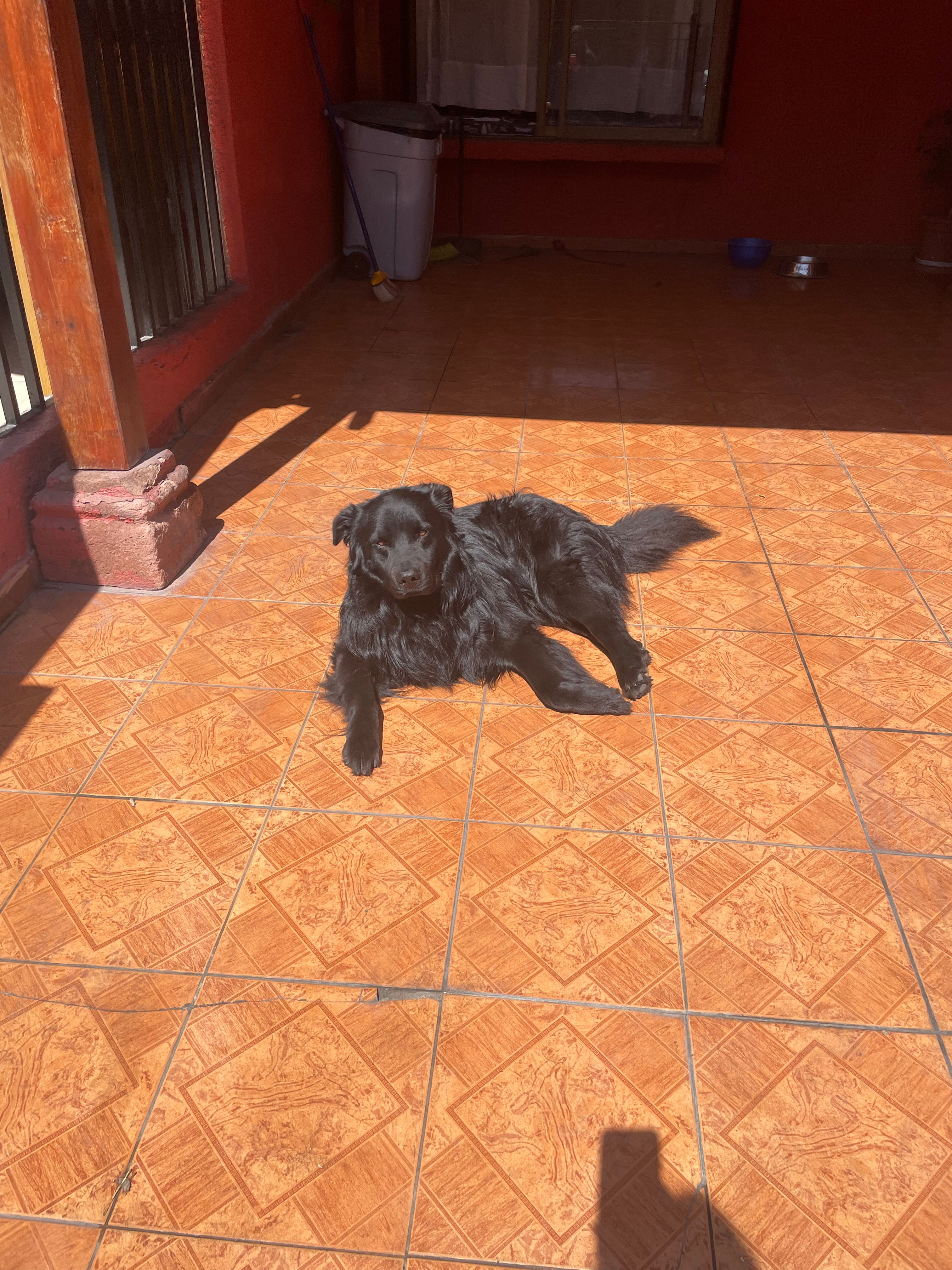 image-9