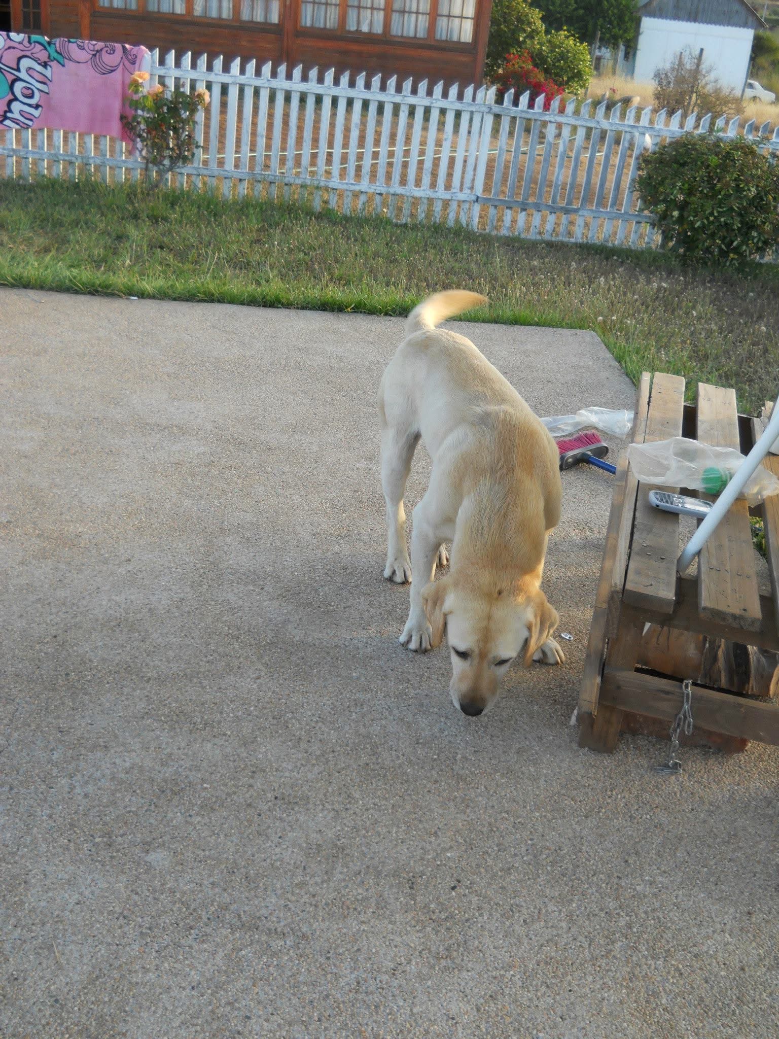 image-20