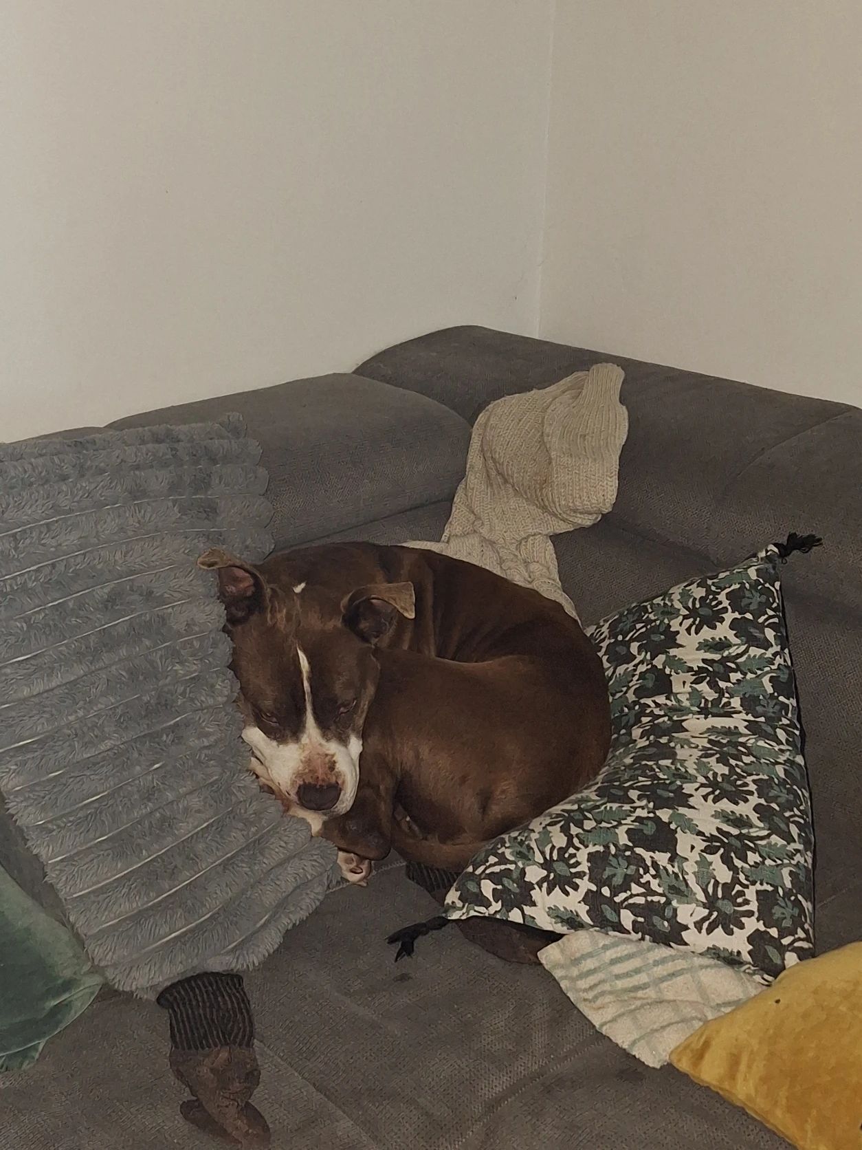 image-9