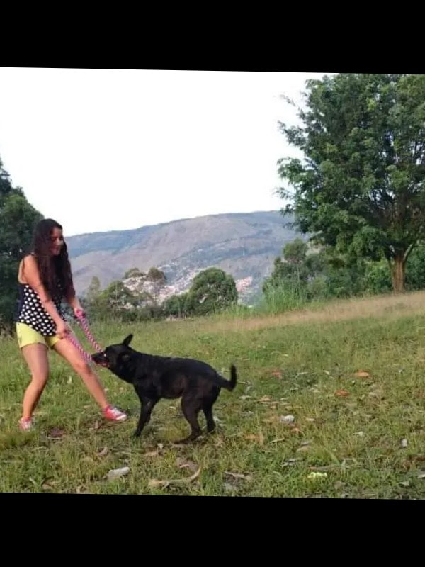 image-5