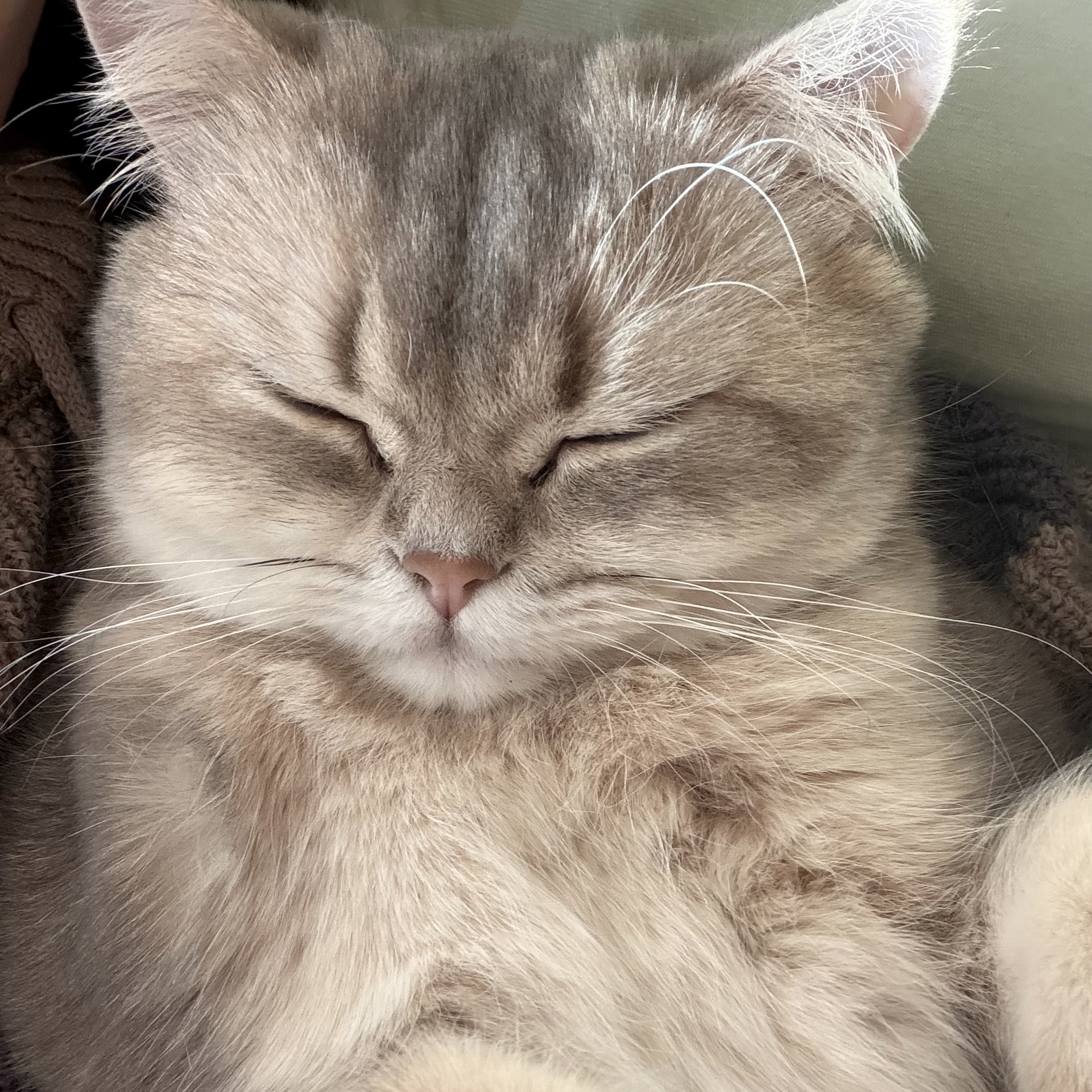 Yuki
