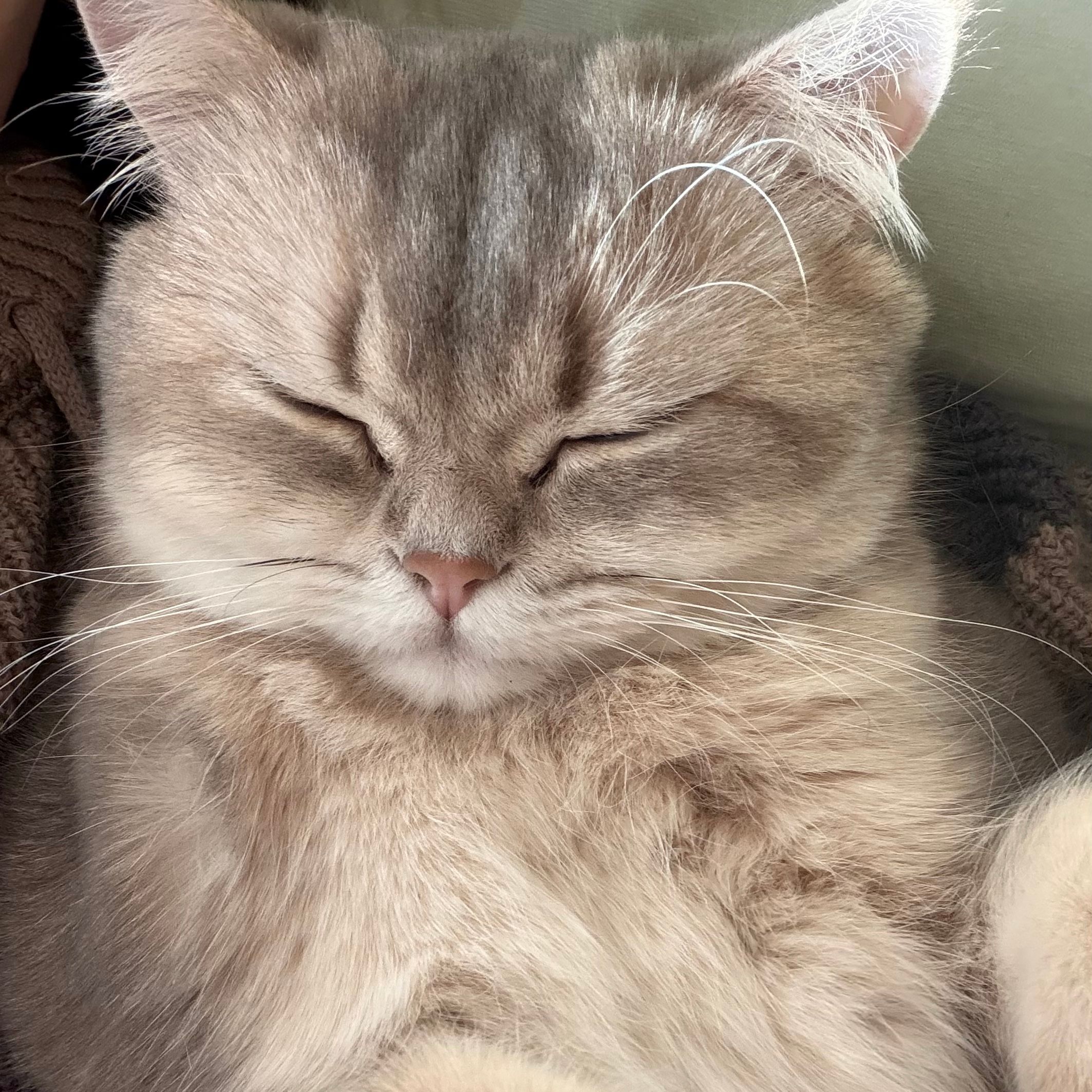 Yuki