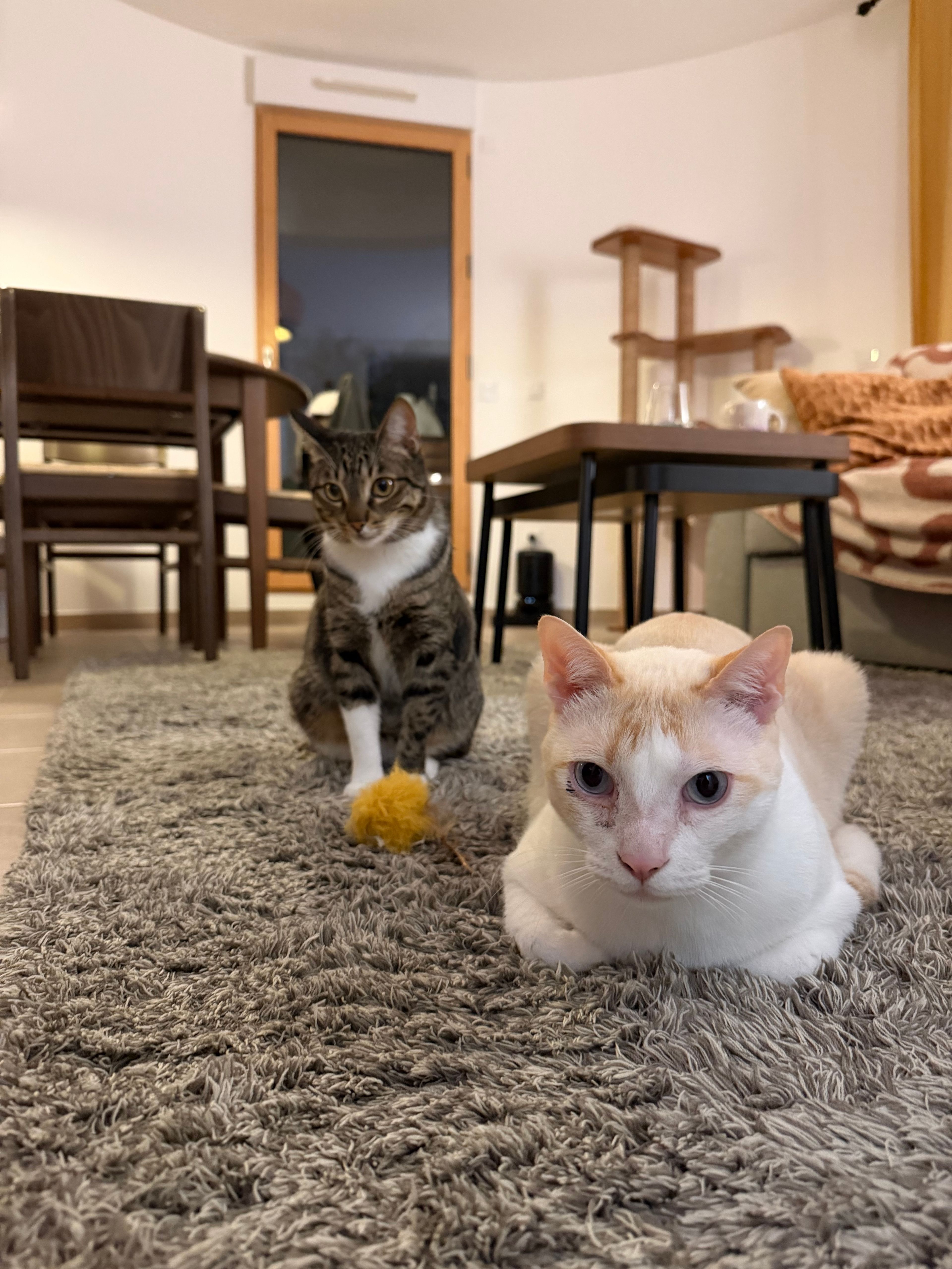 image-10