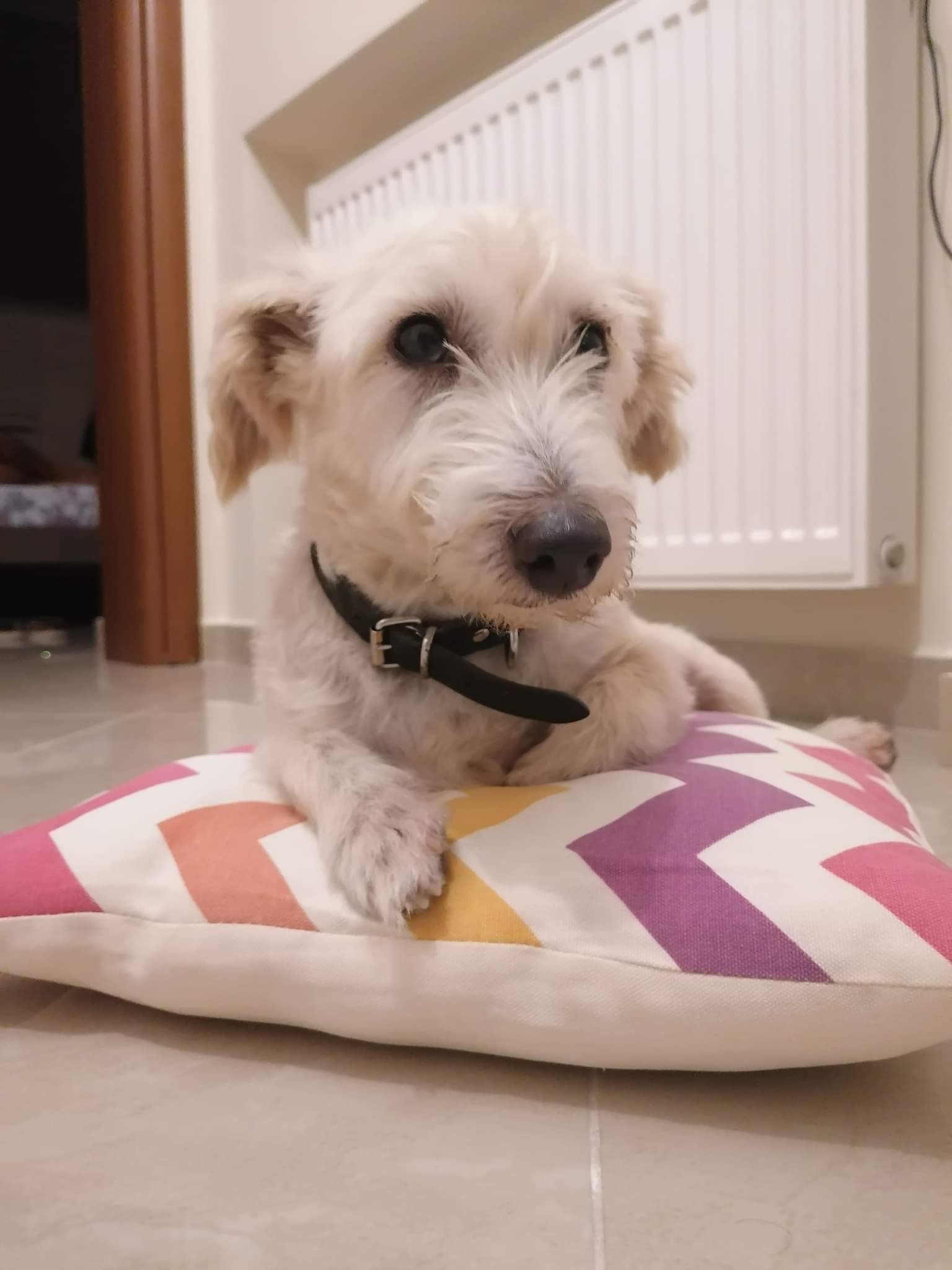 image-13