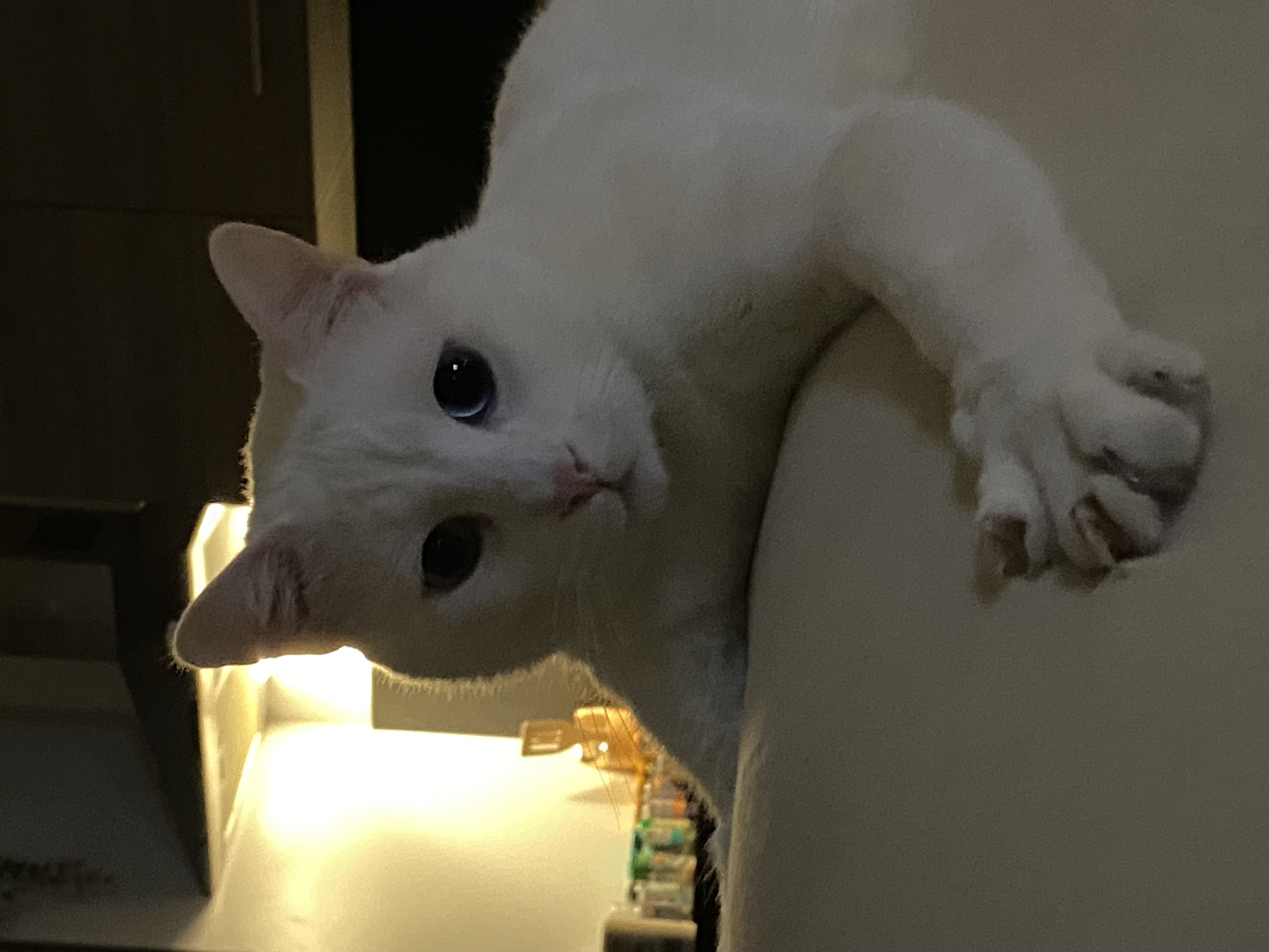 image-6