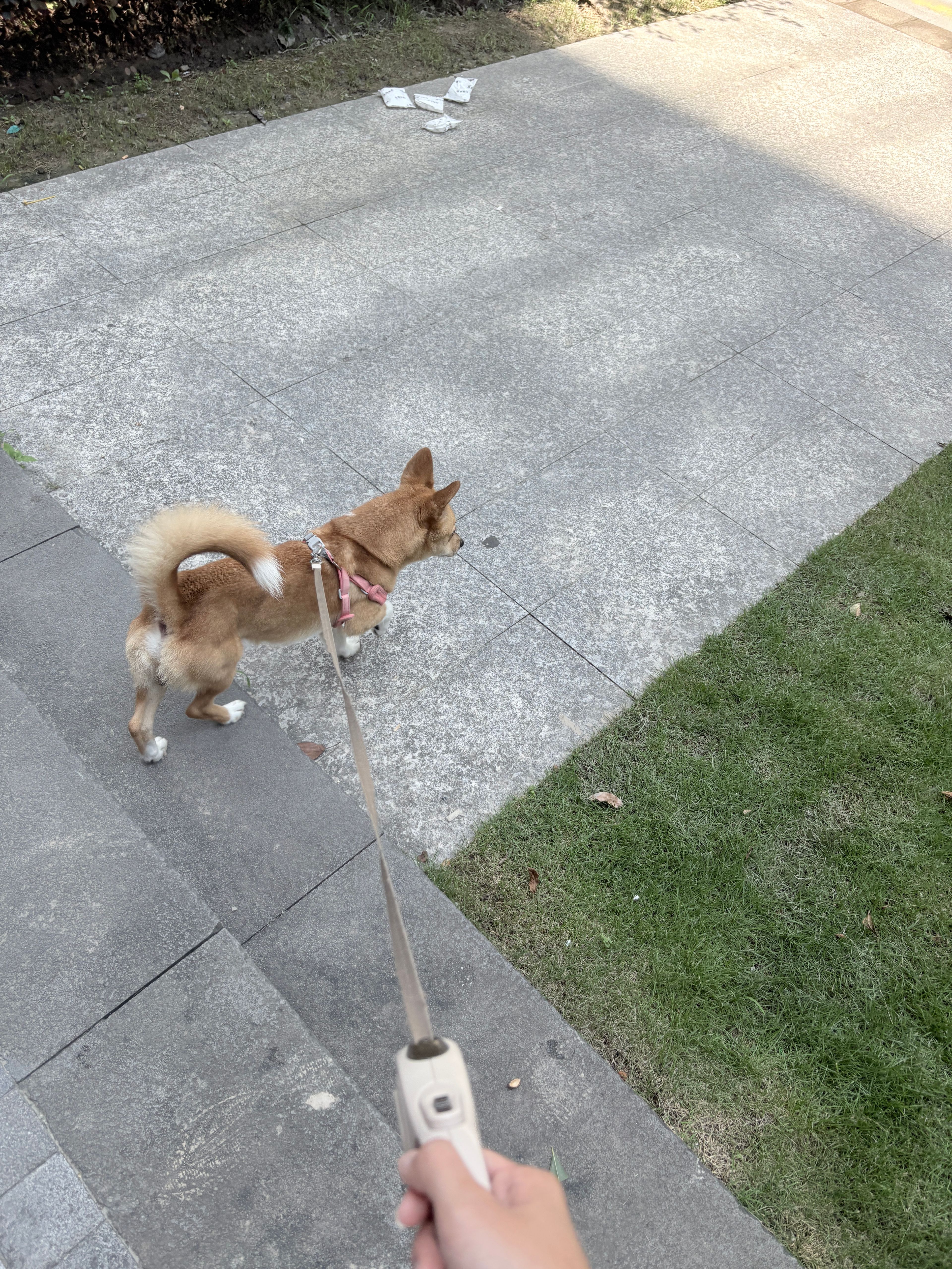 image-6