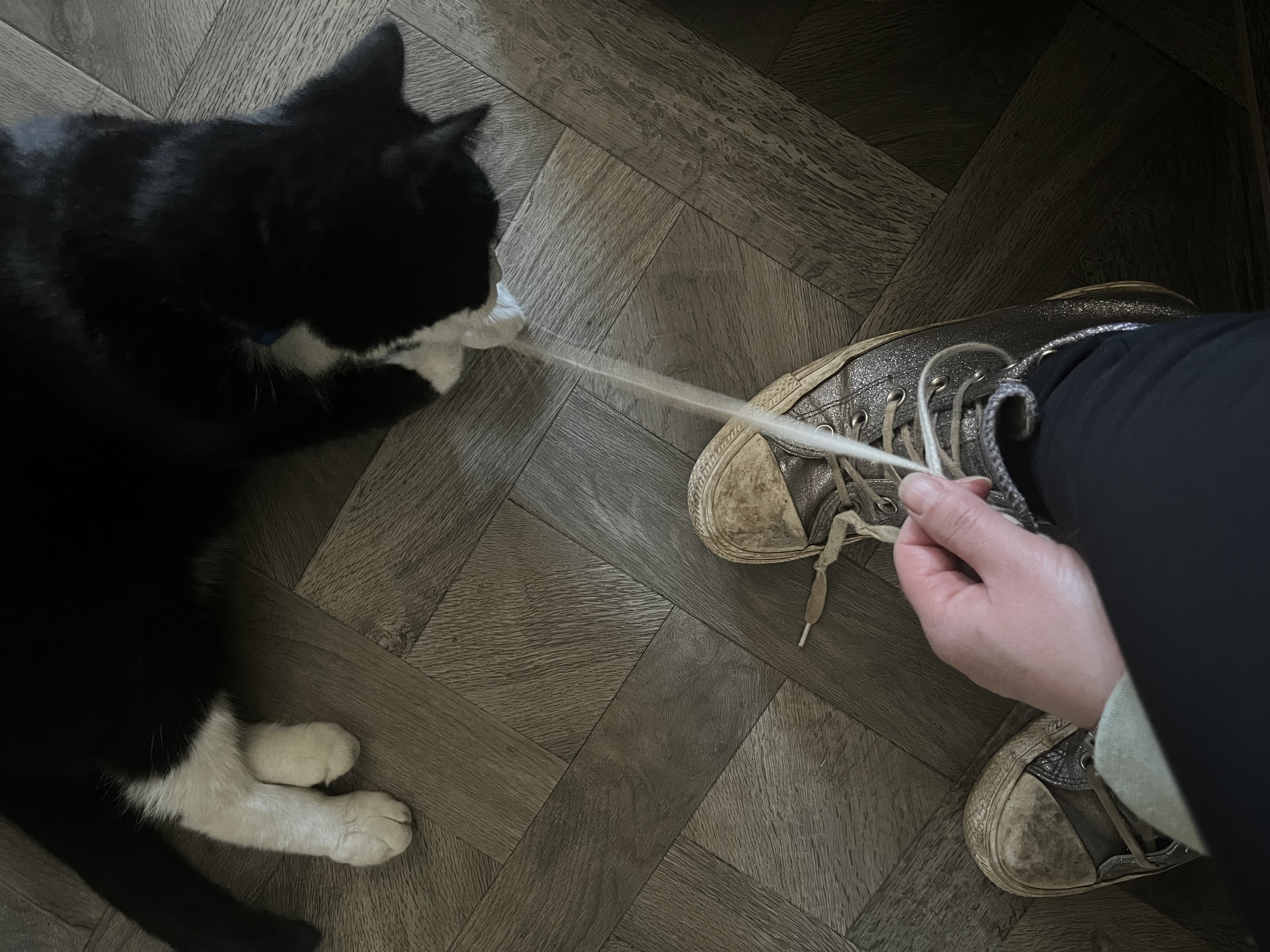 image-5