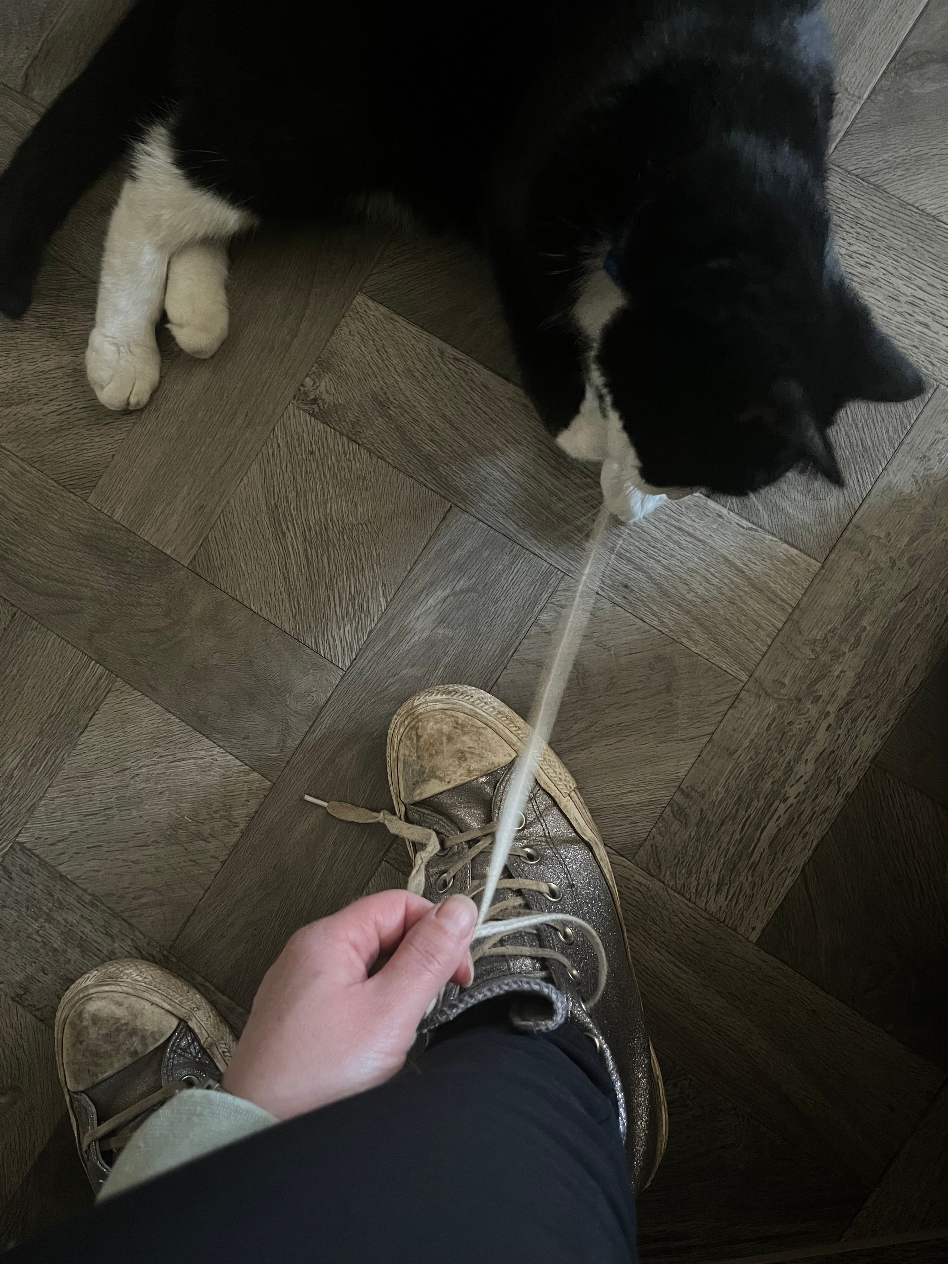 image-5