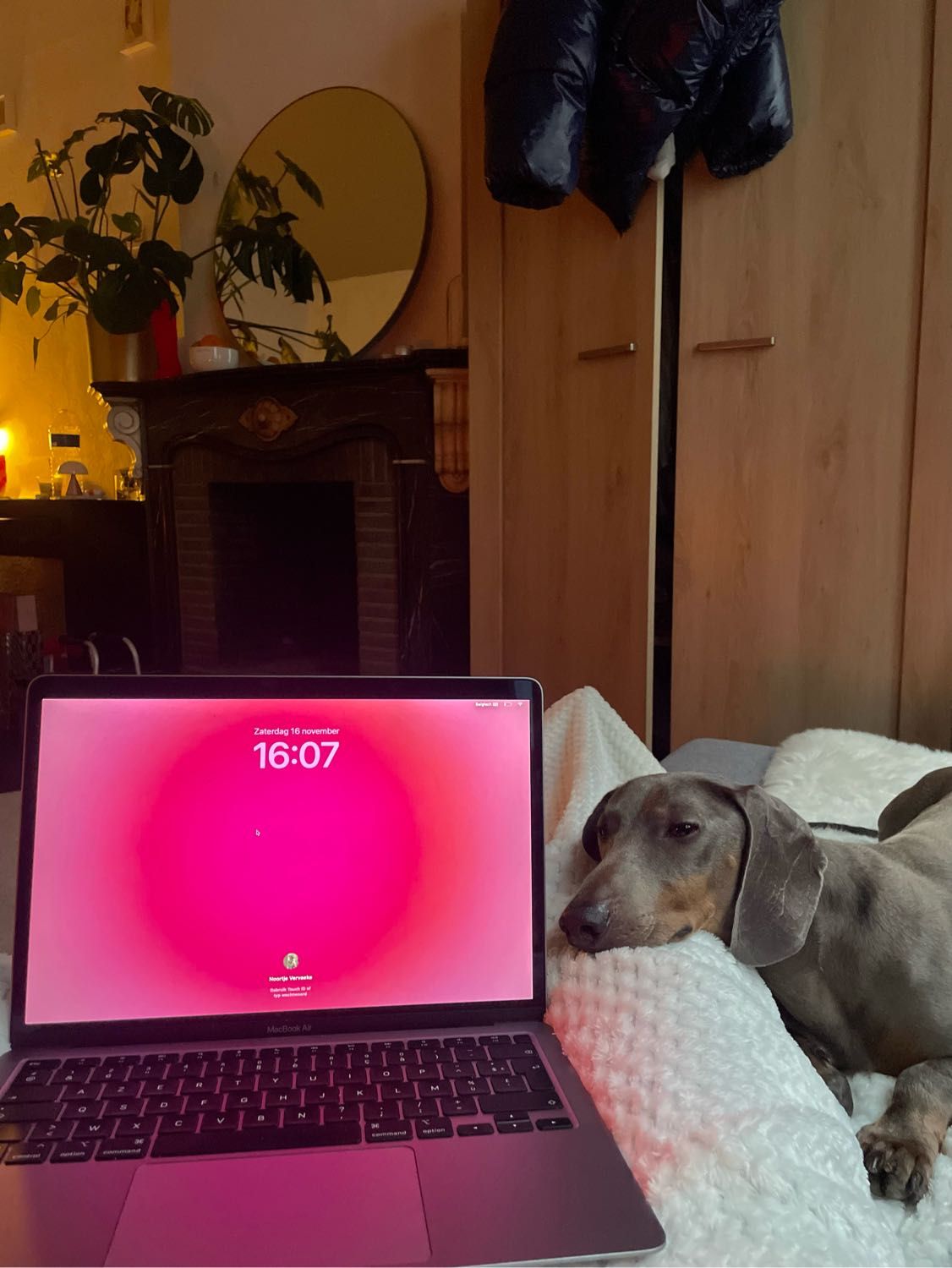 image-9