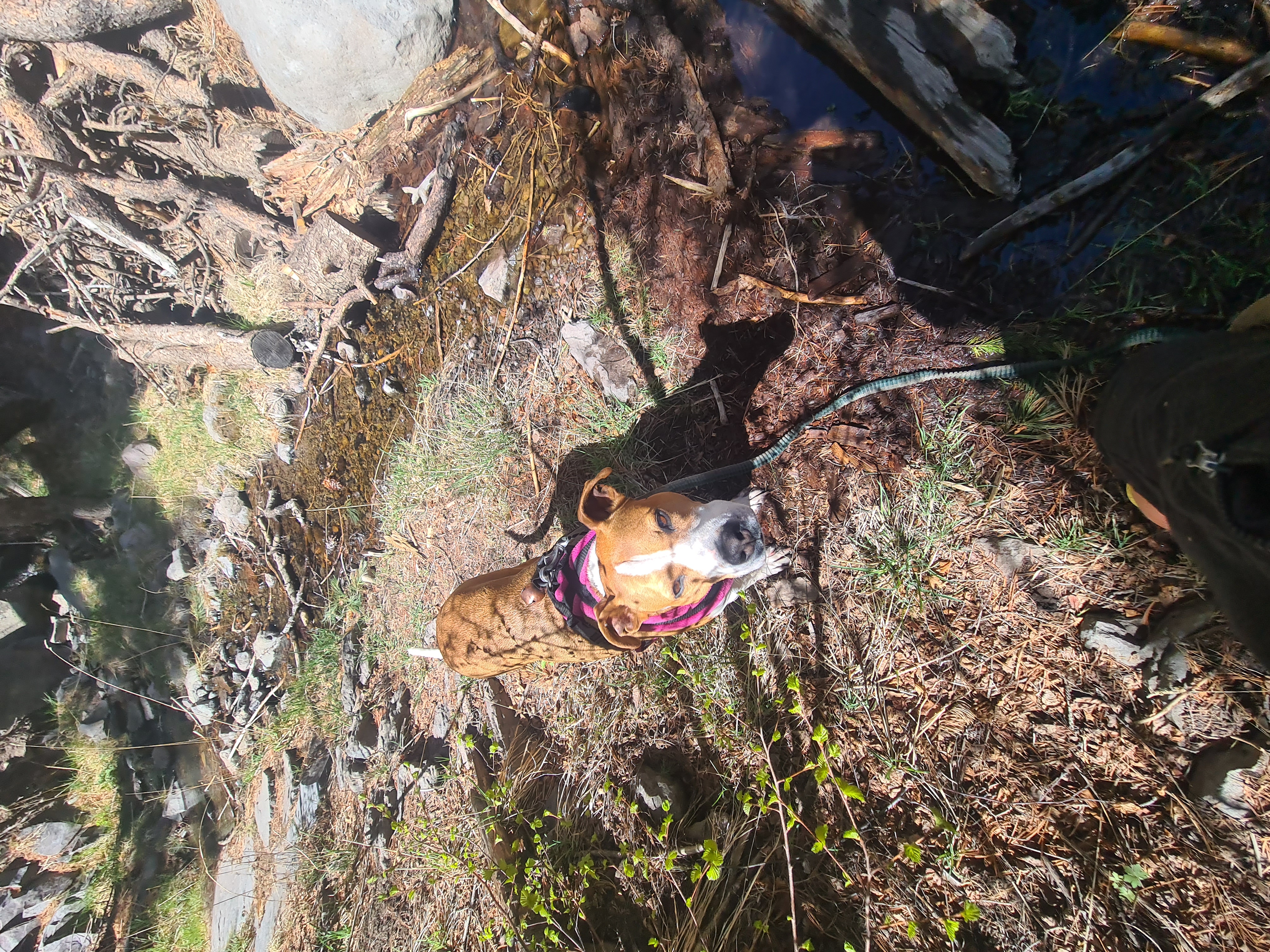 image-5