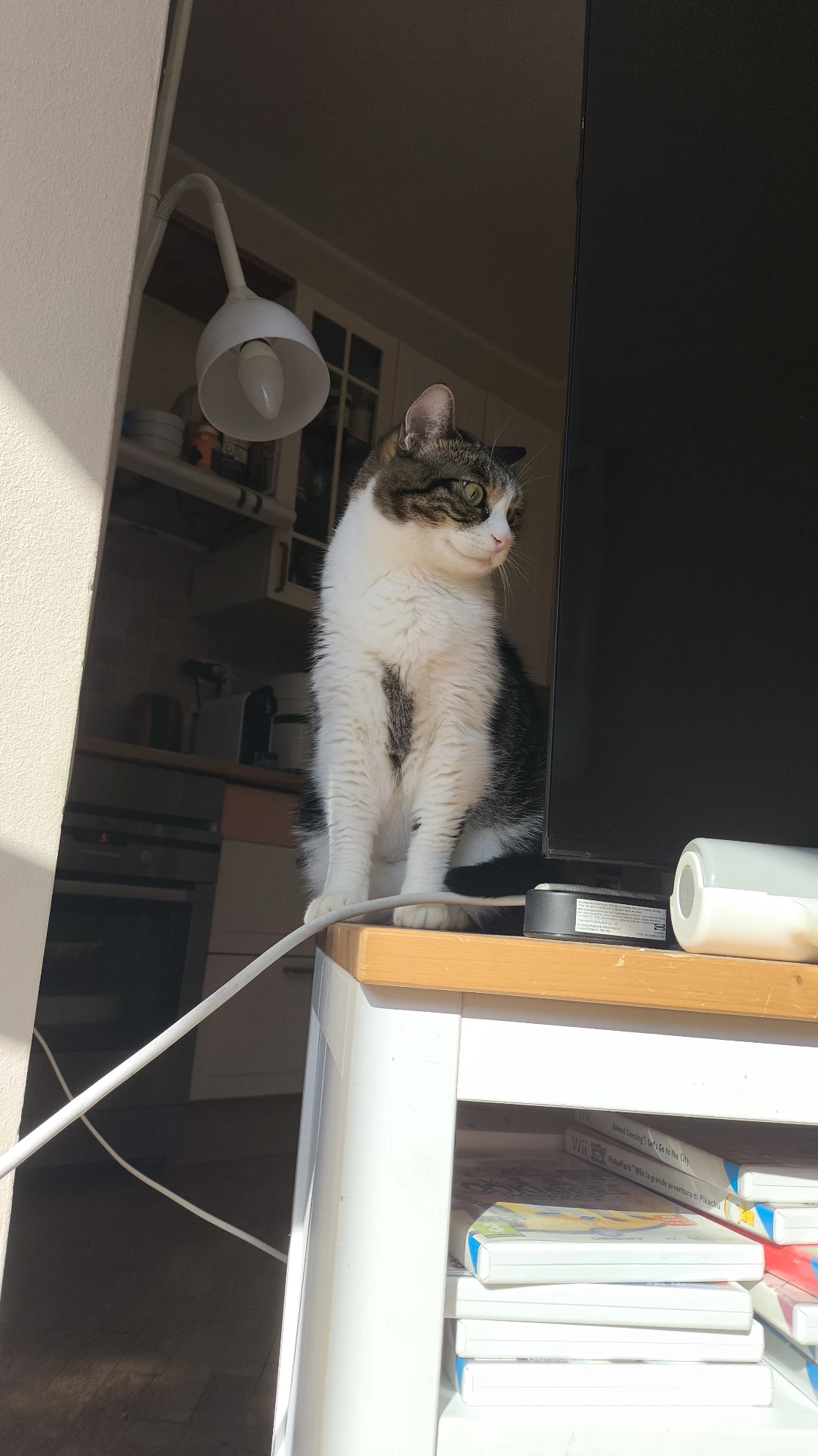 image-7