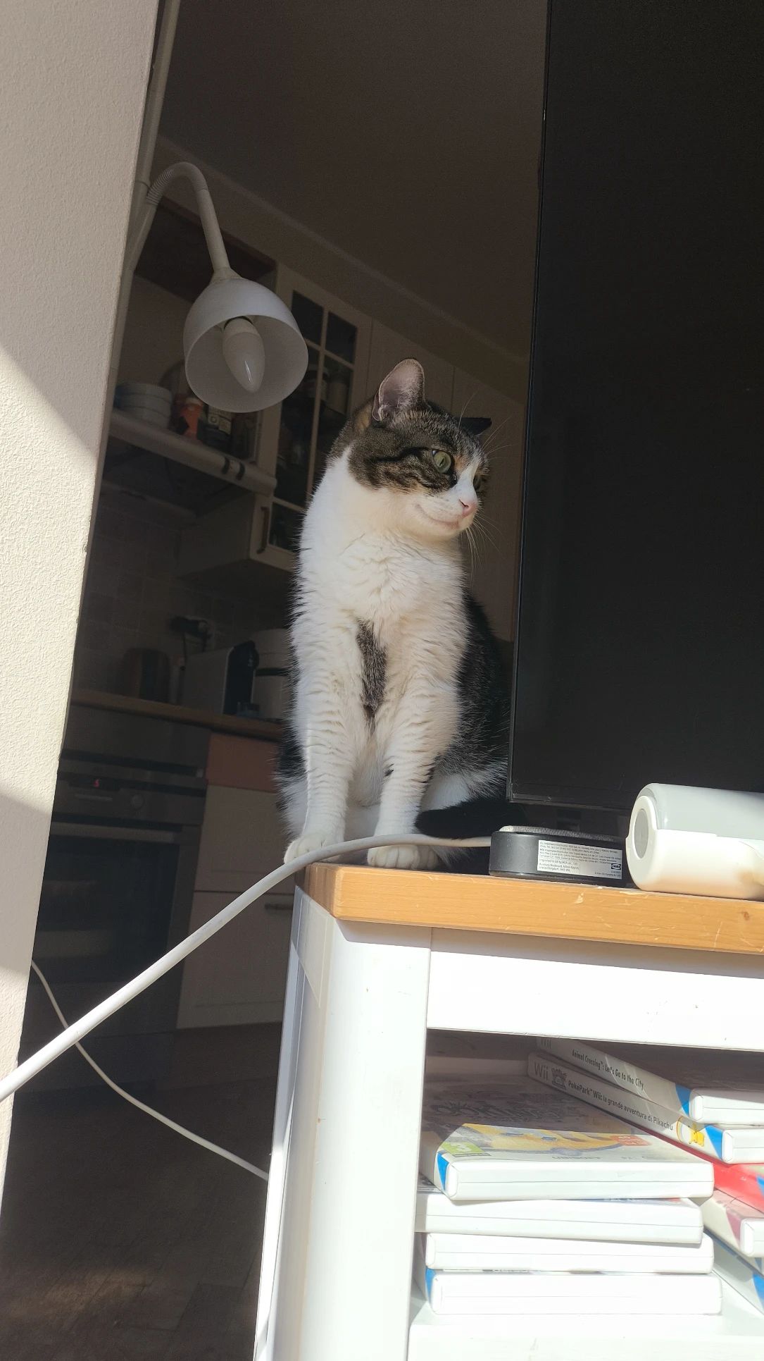 image-7
