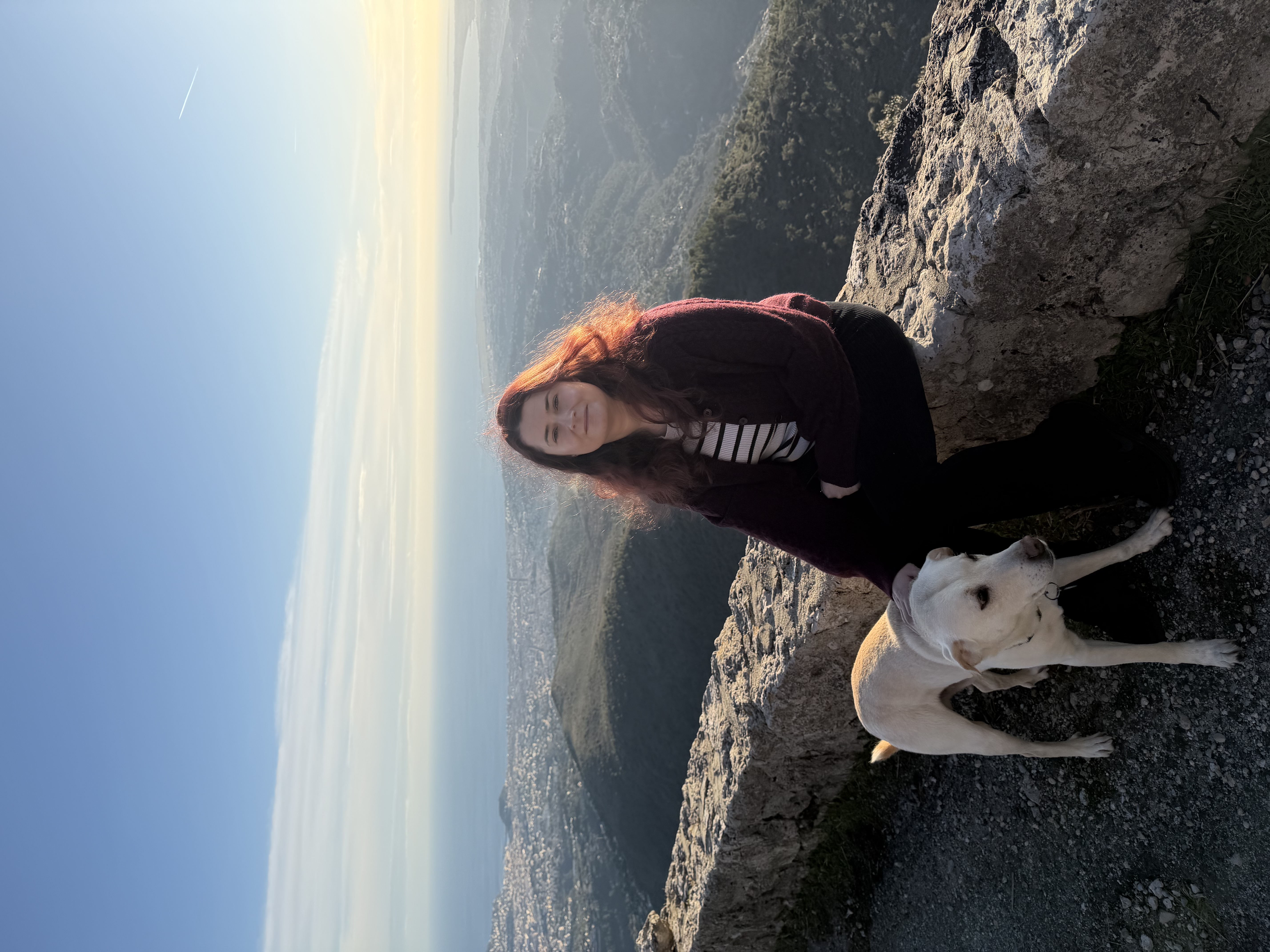 image-4