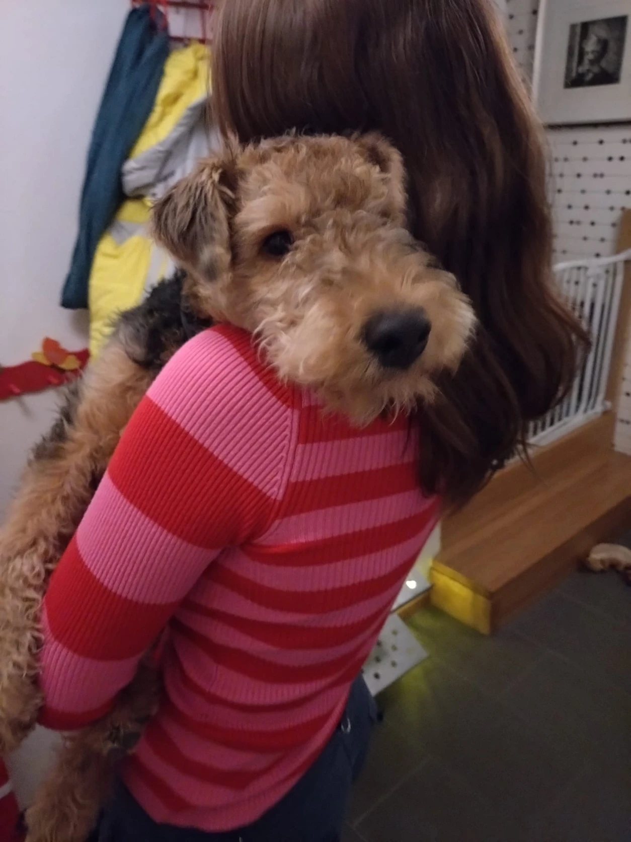 image-9
