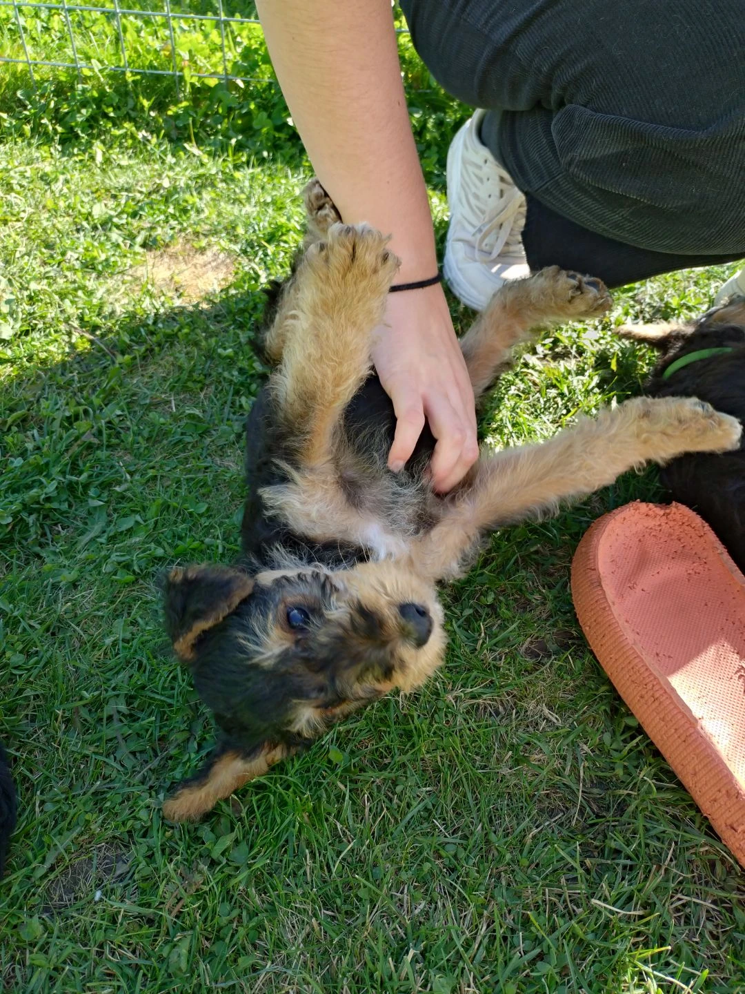 image-6
